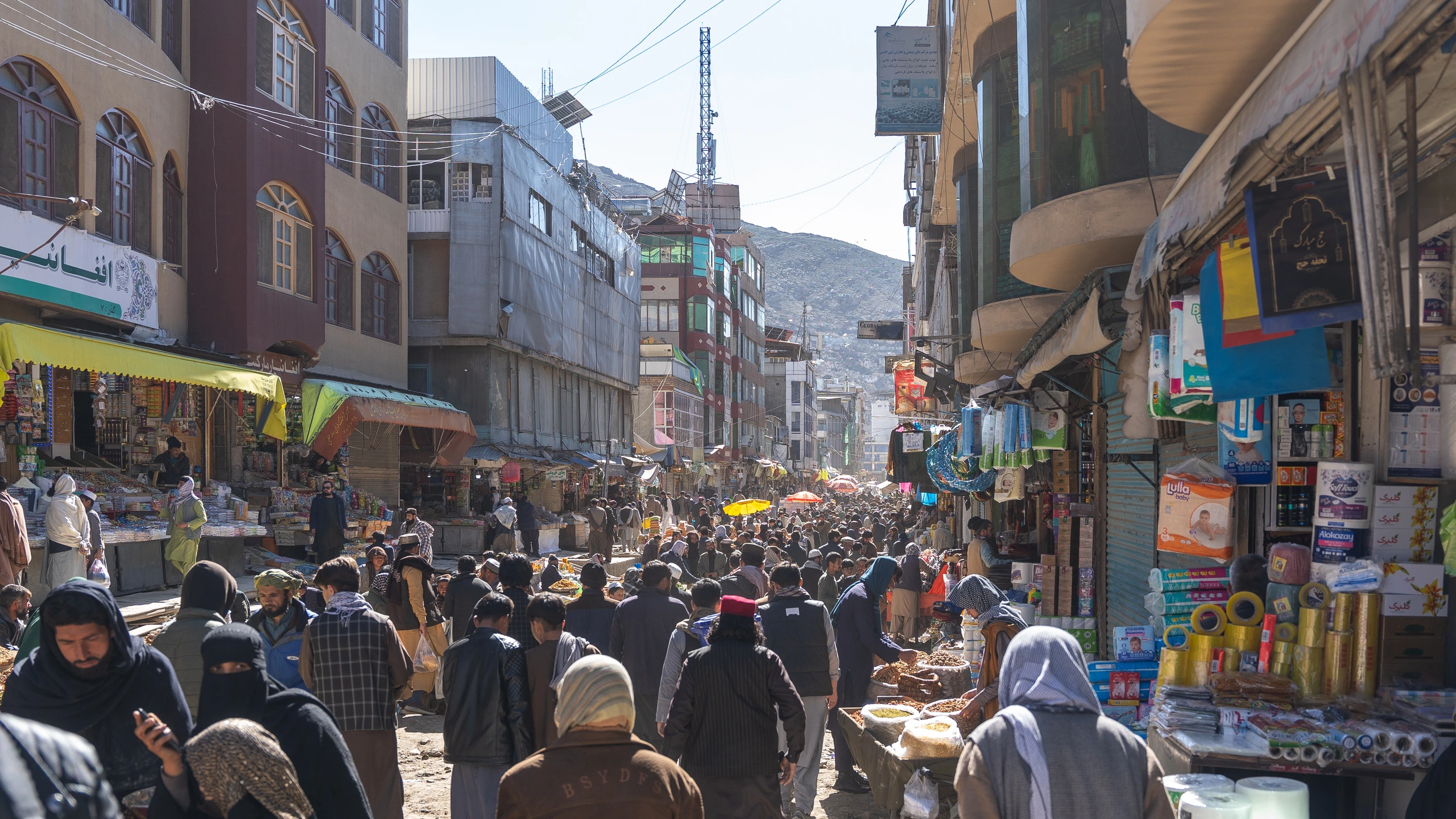 Fågelmarknad i Jadayi Maiwand, Kabul, Afghanistan