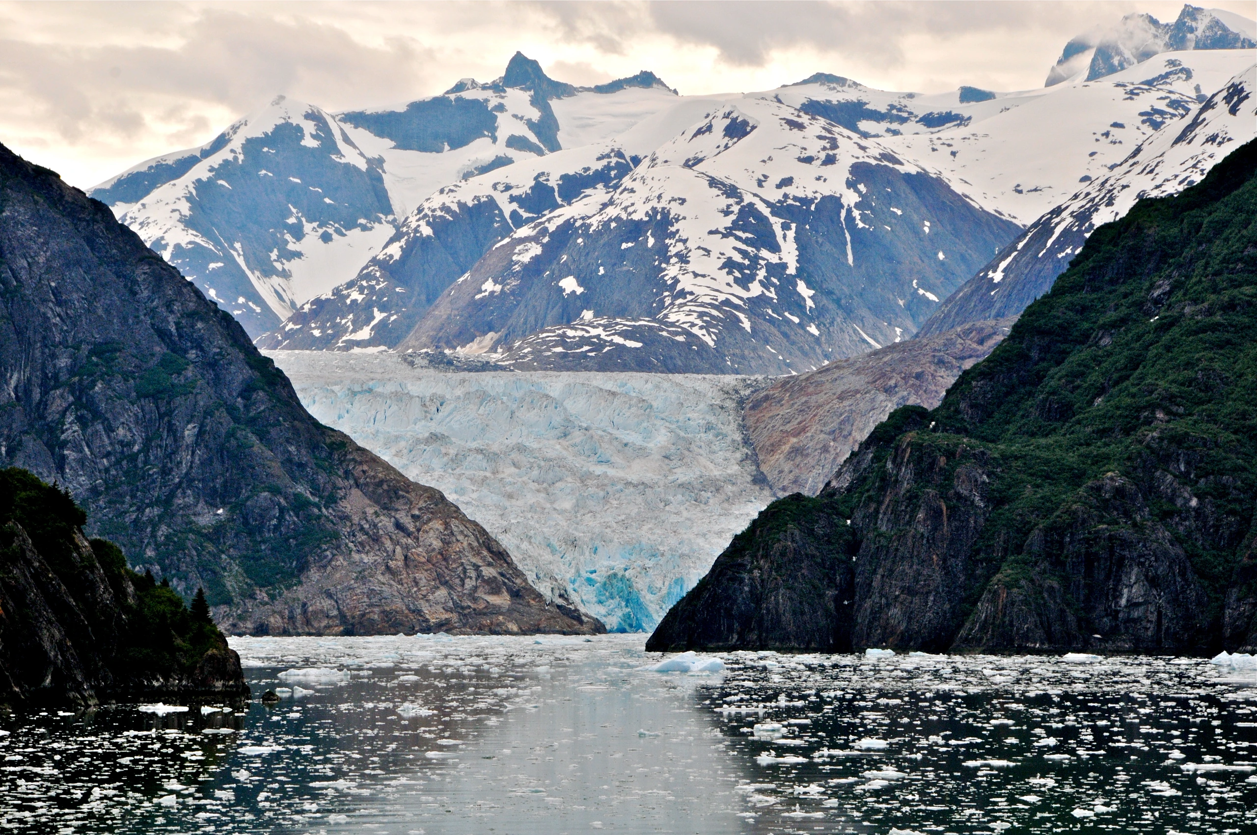 Tracy Arm Fjord, Alaska