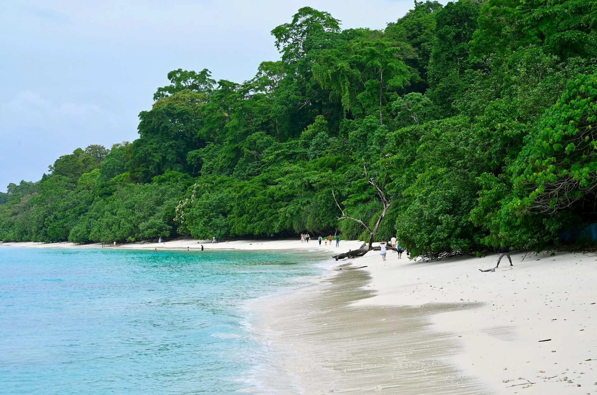 Pristine beach på Andamanerna, Andamanerna och Nikobarerna