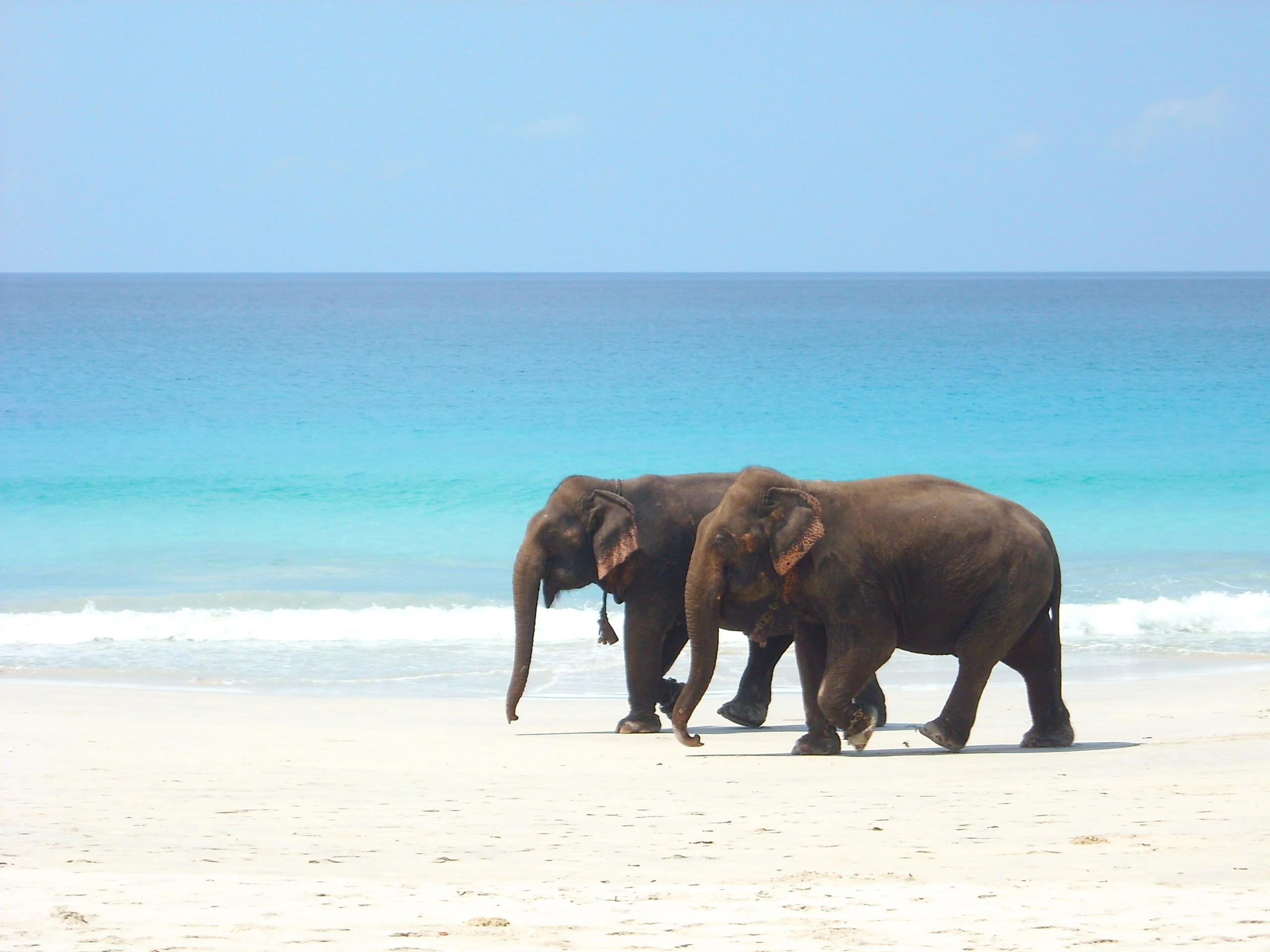 Elephant Beach på Andamanerna, Andamanerna och Nikobarerna