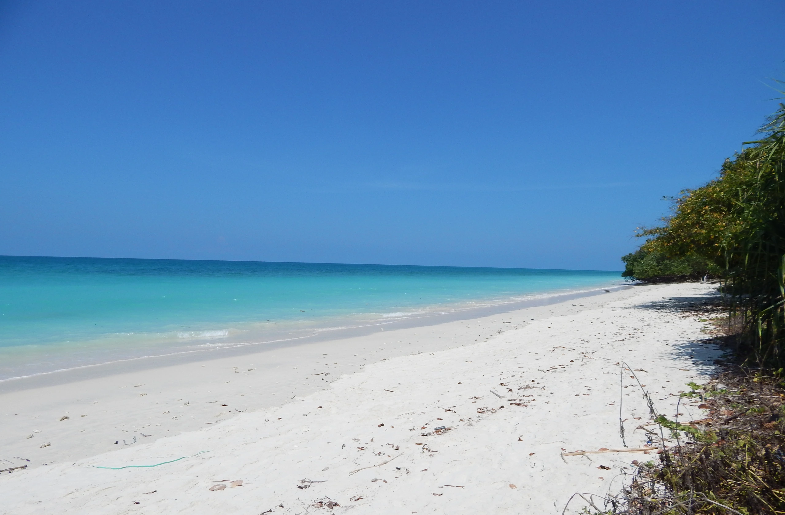Kala Pathar Beach på Havelock Island, Andamanerna och Nikobarerna