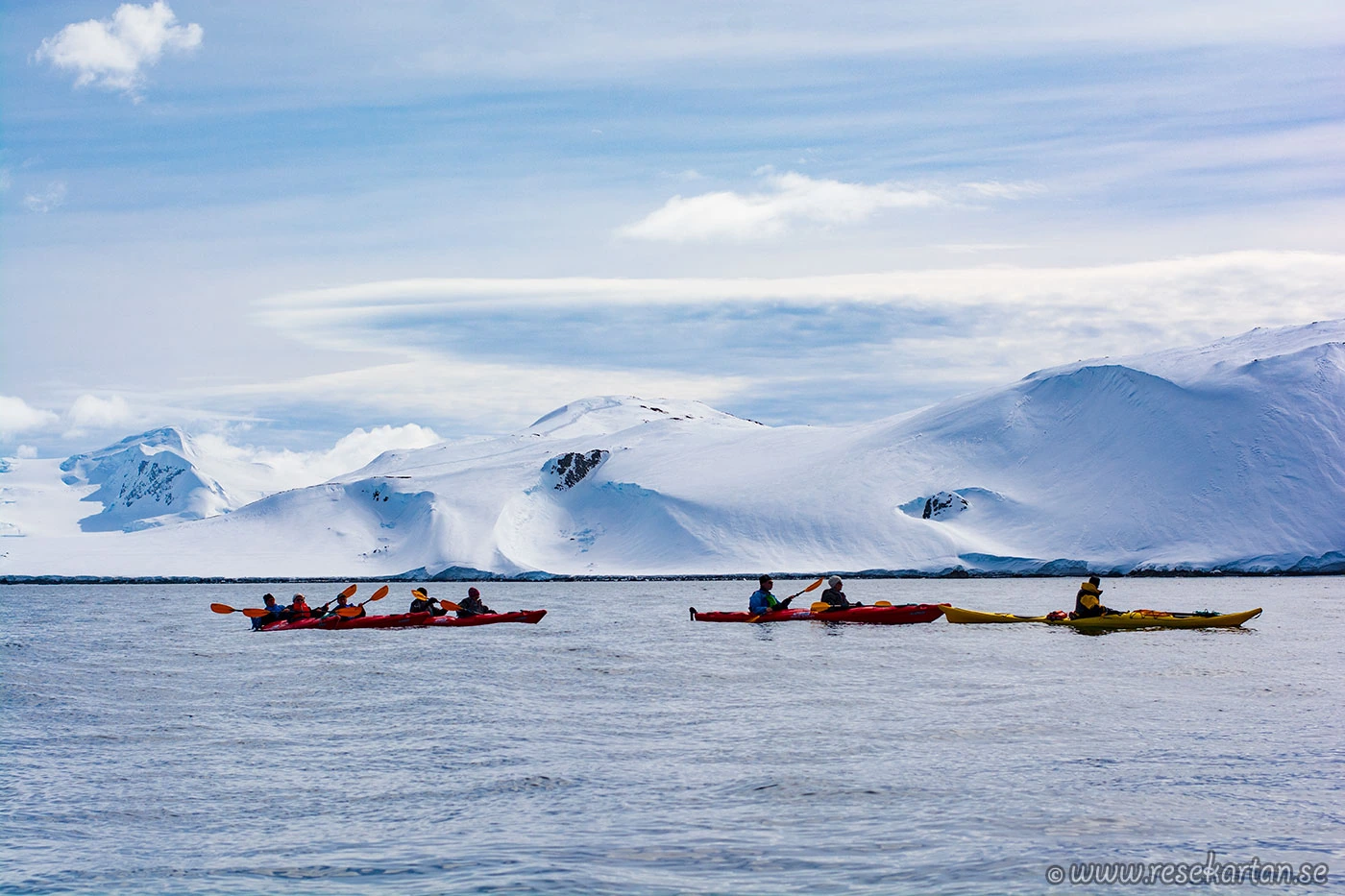 Kajakpaddling vid Half Moon Island, Antarktis