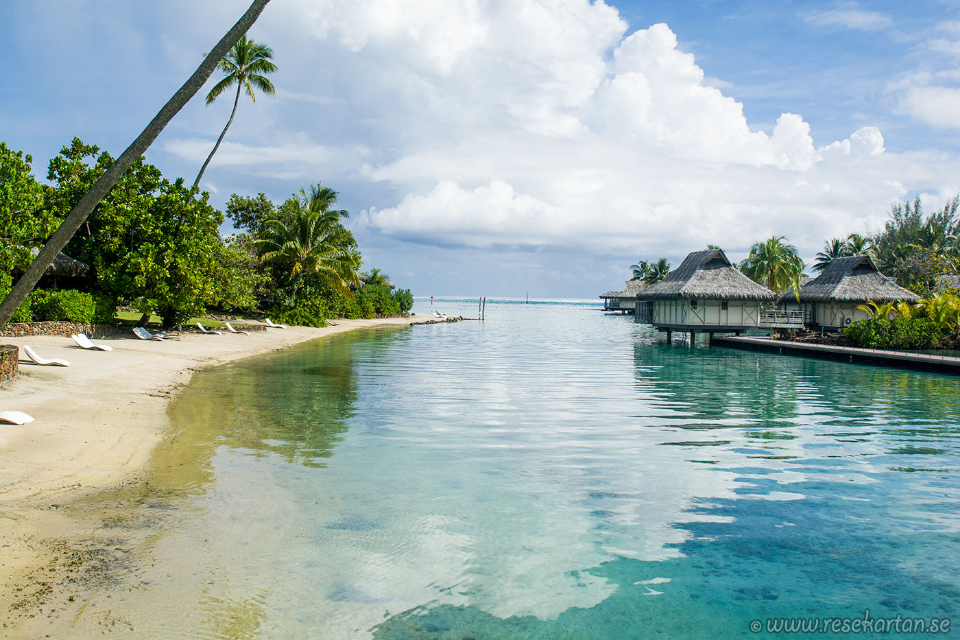 beach intercontinental resort moorea