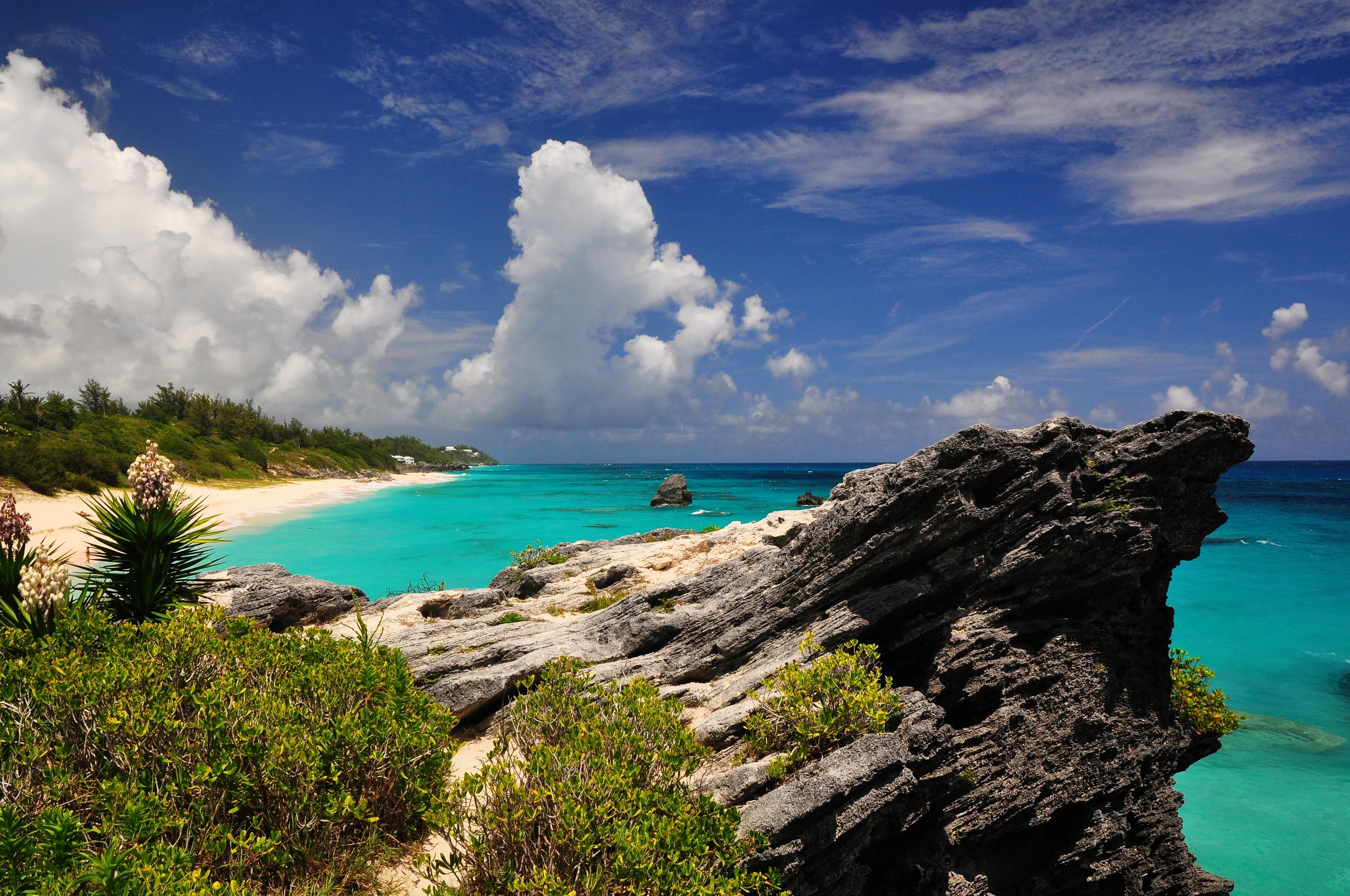 Jobson's Cove, Bermuda