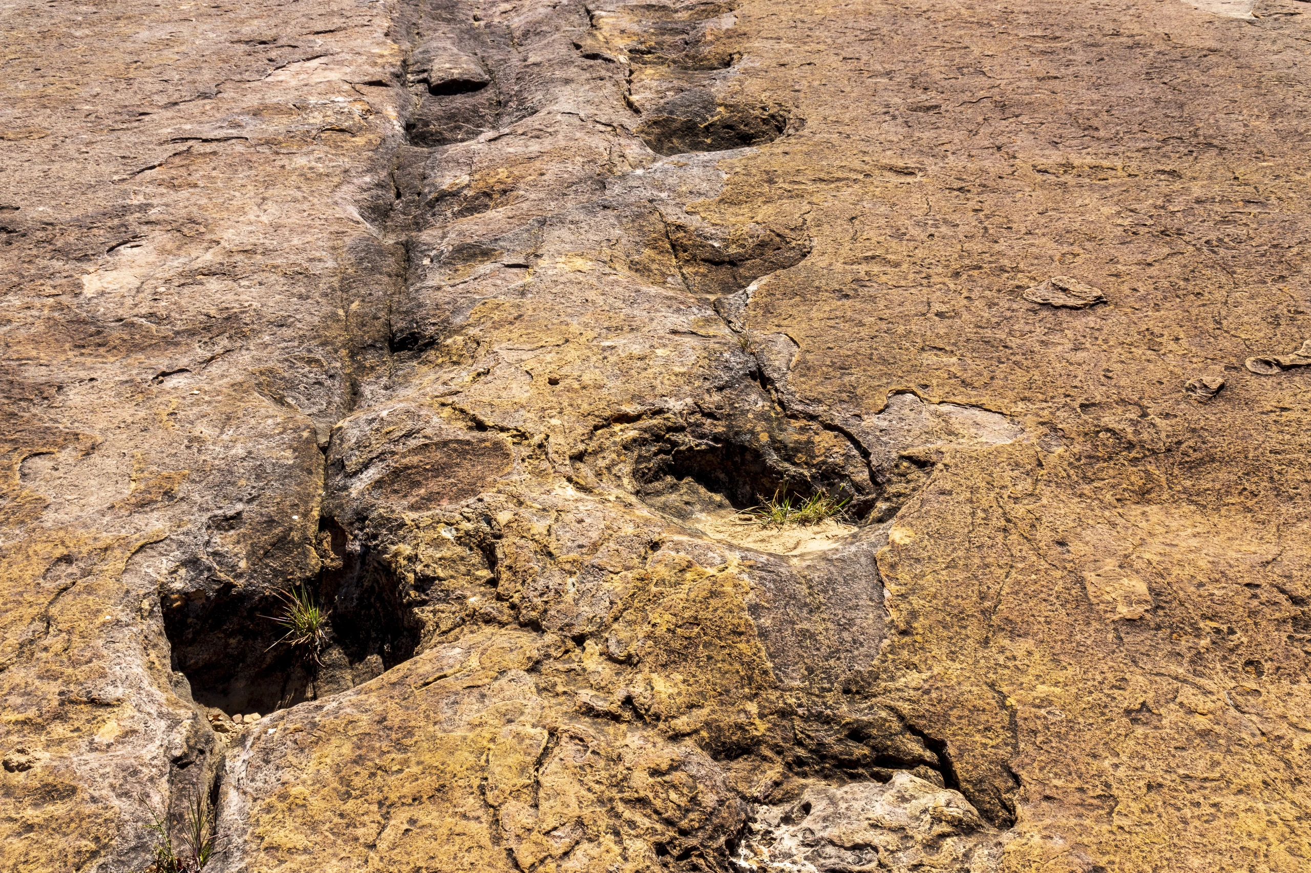 Fossiliserade dinosauriespår i Torotoro, Bolivia