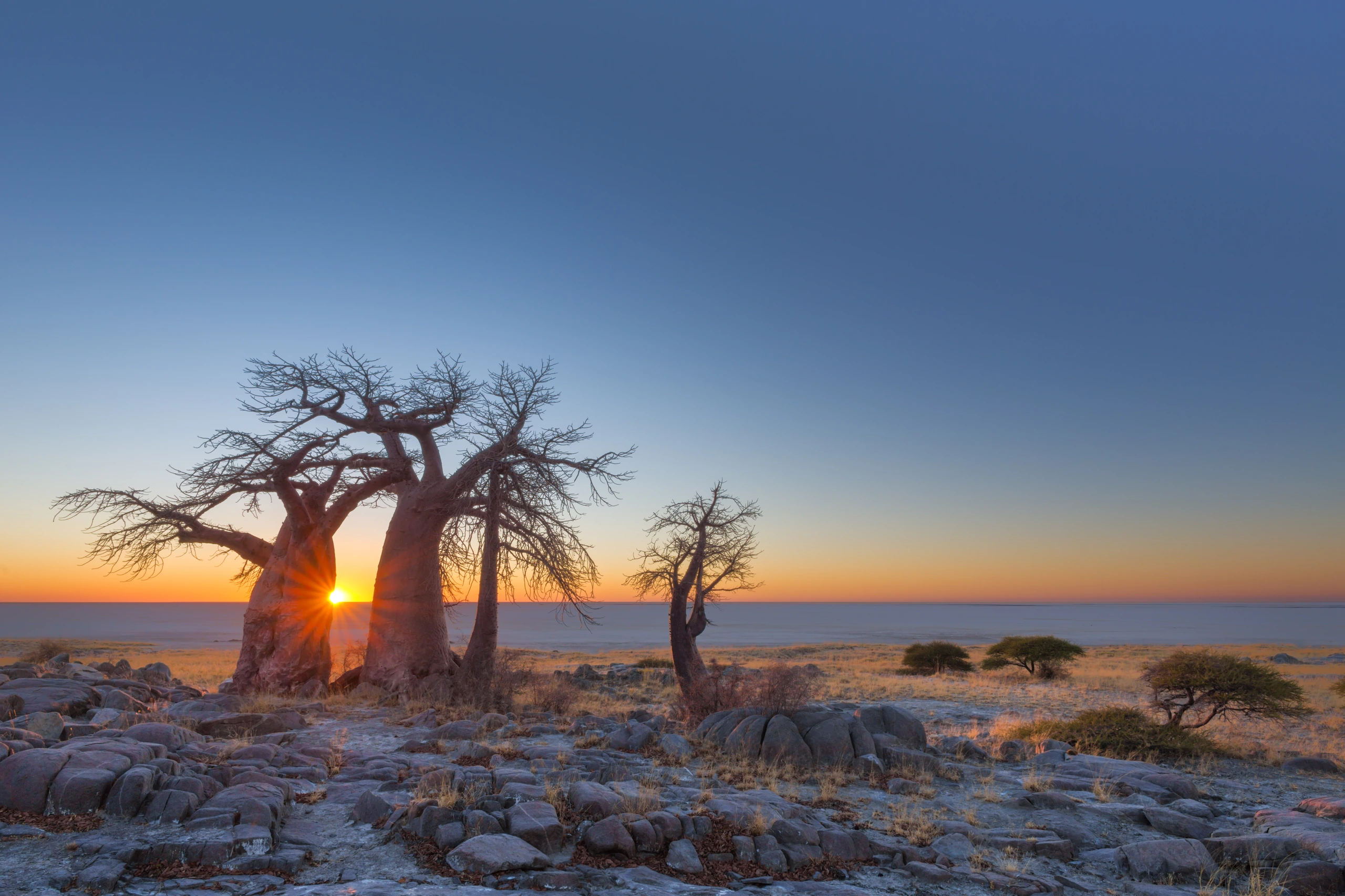 Soluppgång vid Kubu Island, Botswana