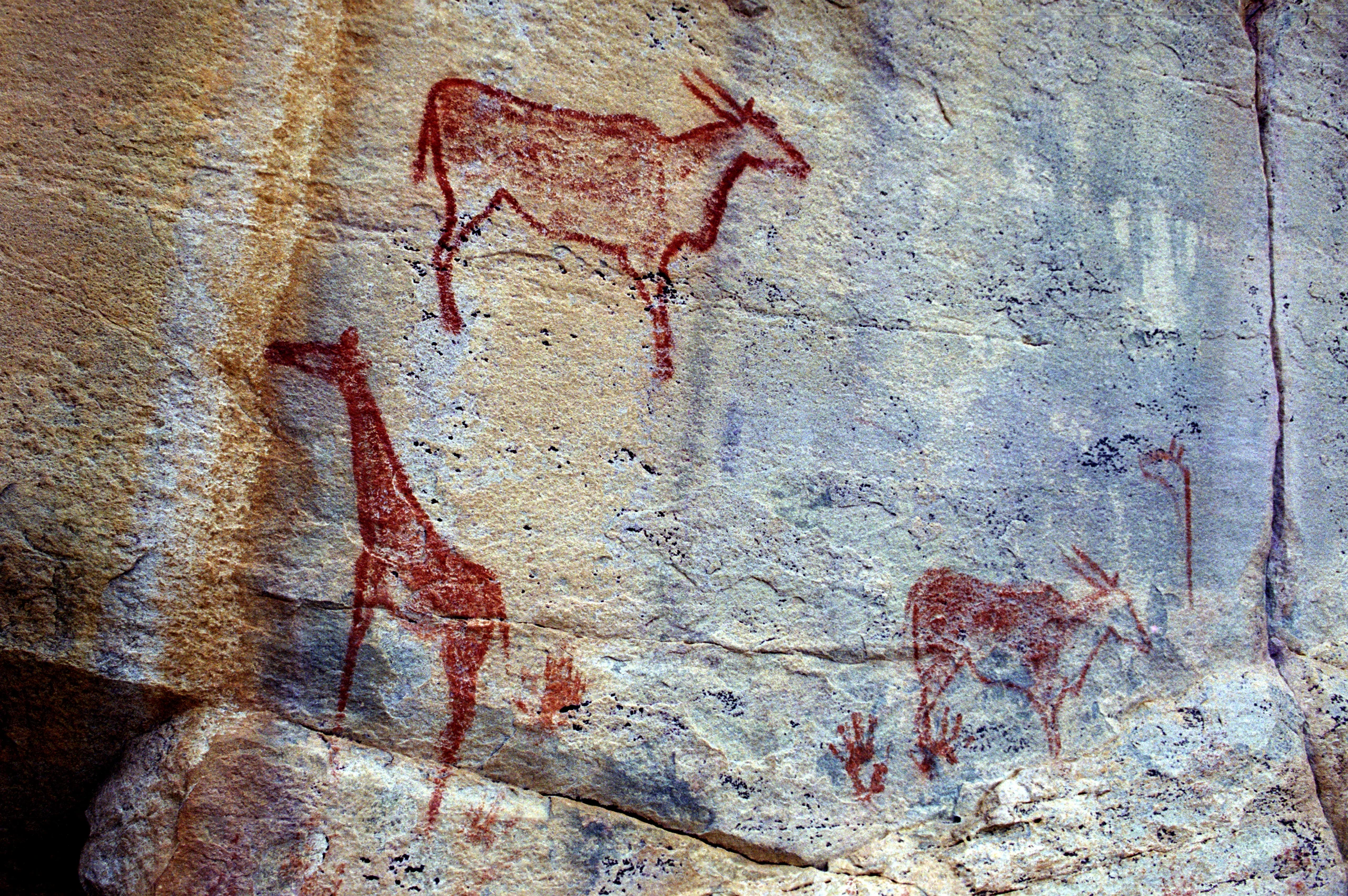 Rock Art i Tsodilo Hills, Botswana