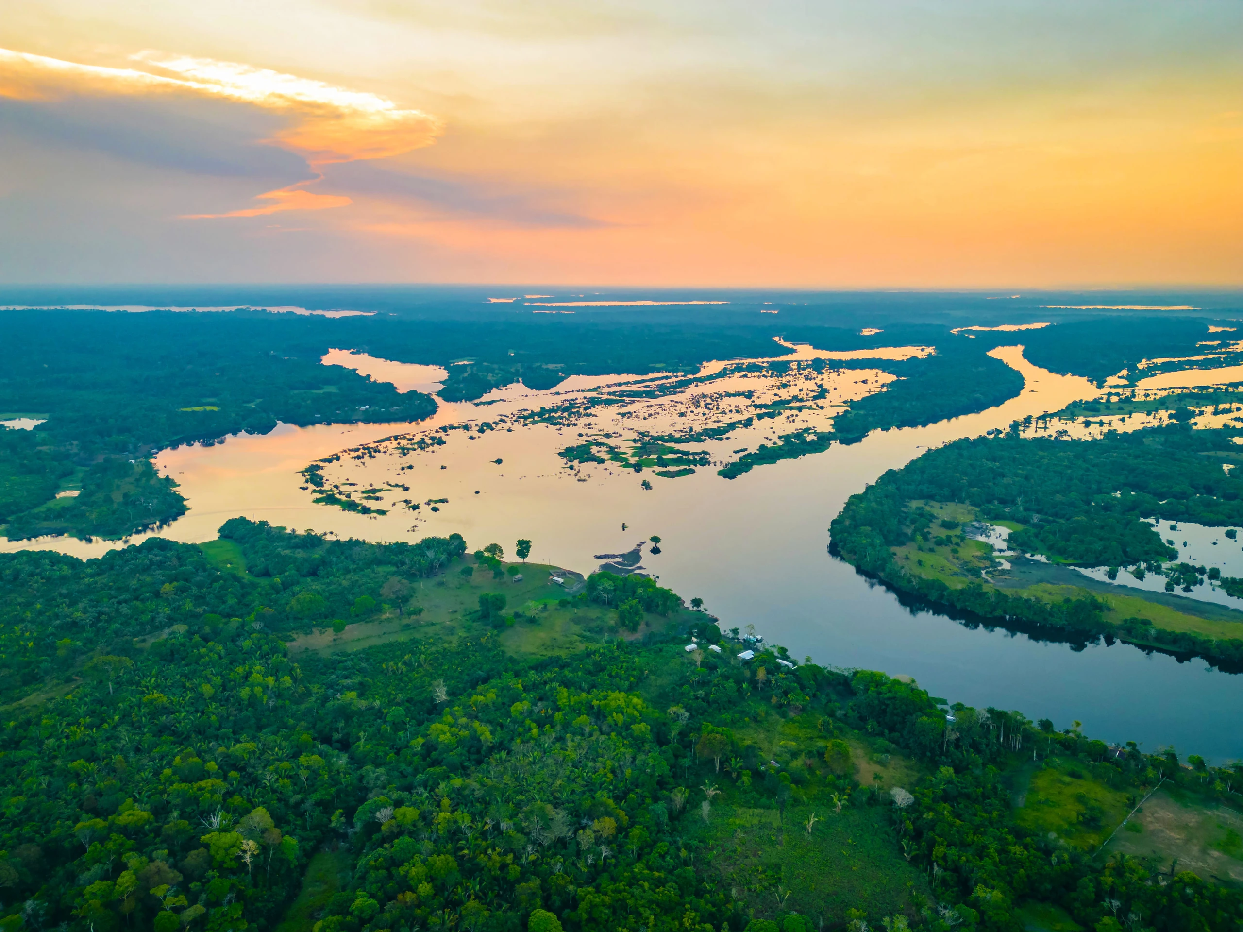 Flygfoto över Amazonas regnskog, Brasilien