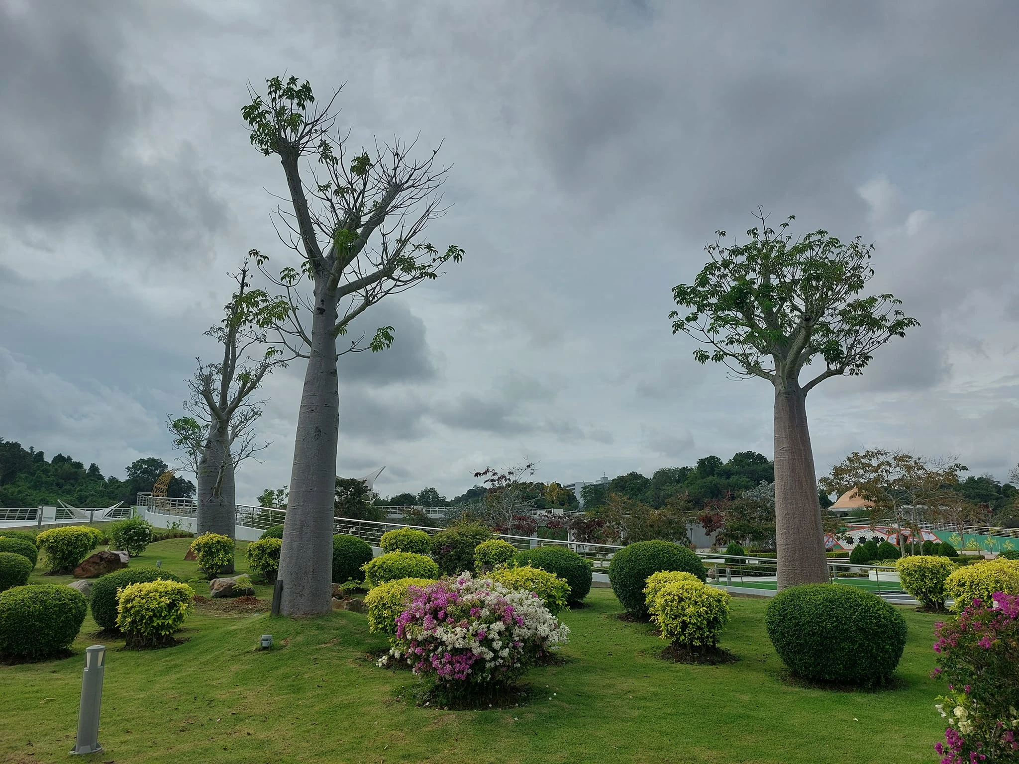 Taman Mahkota Jubli Emas, Brunei