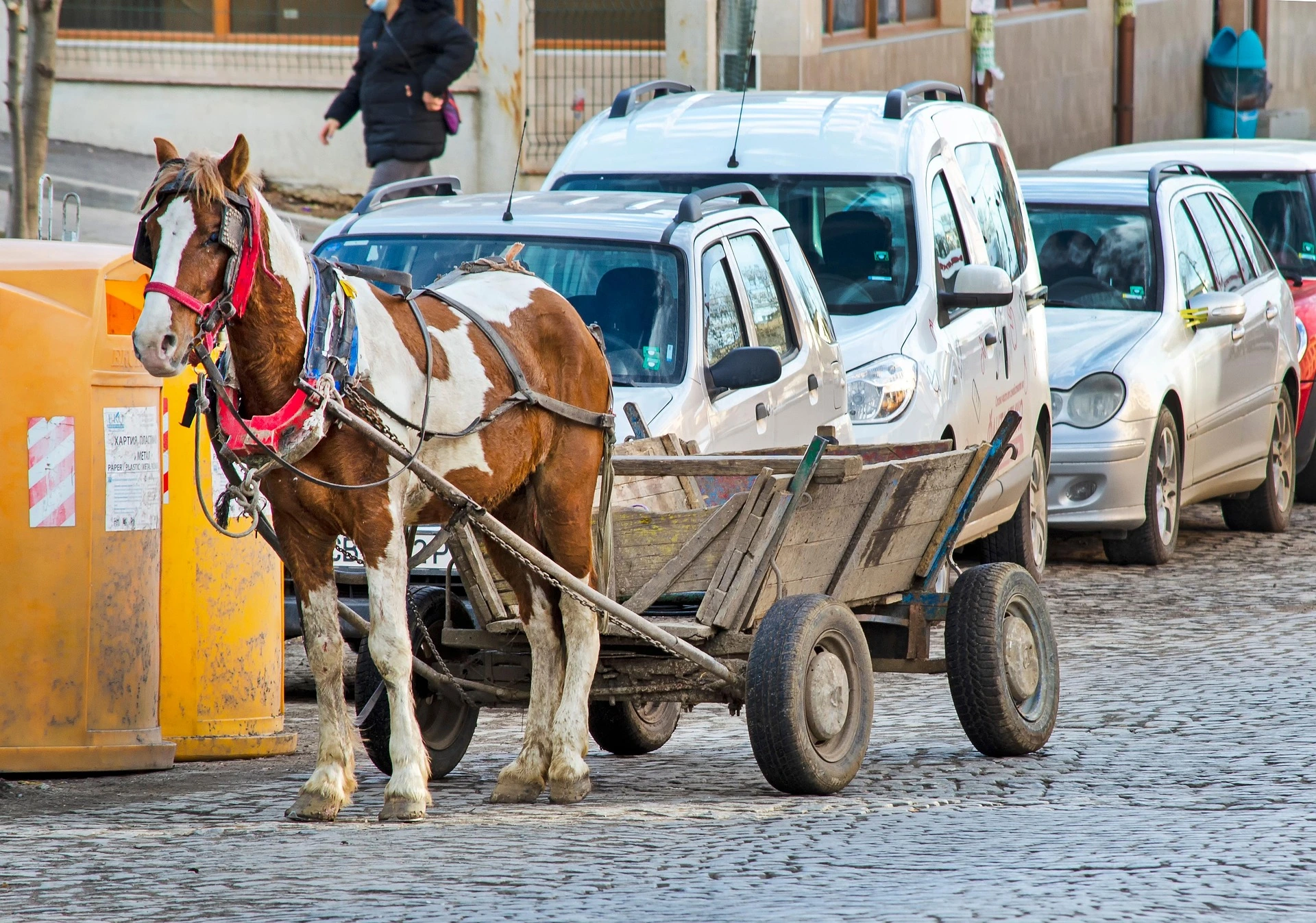 Hästvagn på kullerstensväg i Bulgarien