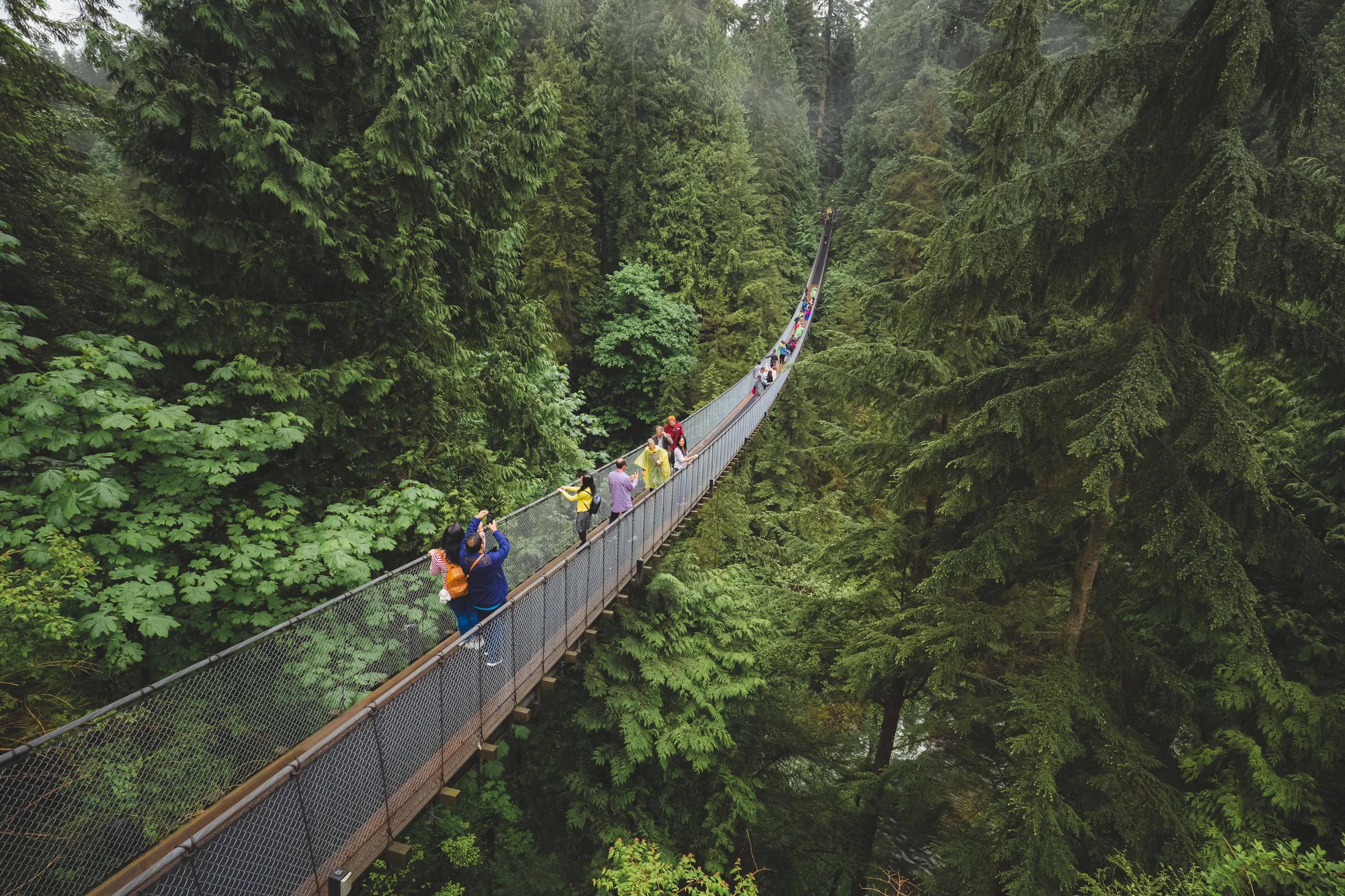 Capilano hängbro, Vancouver, Kanada