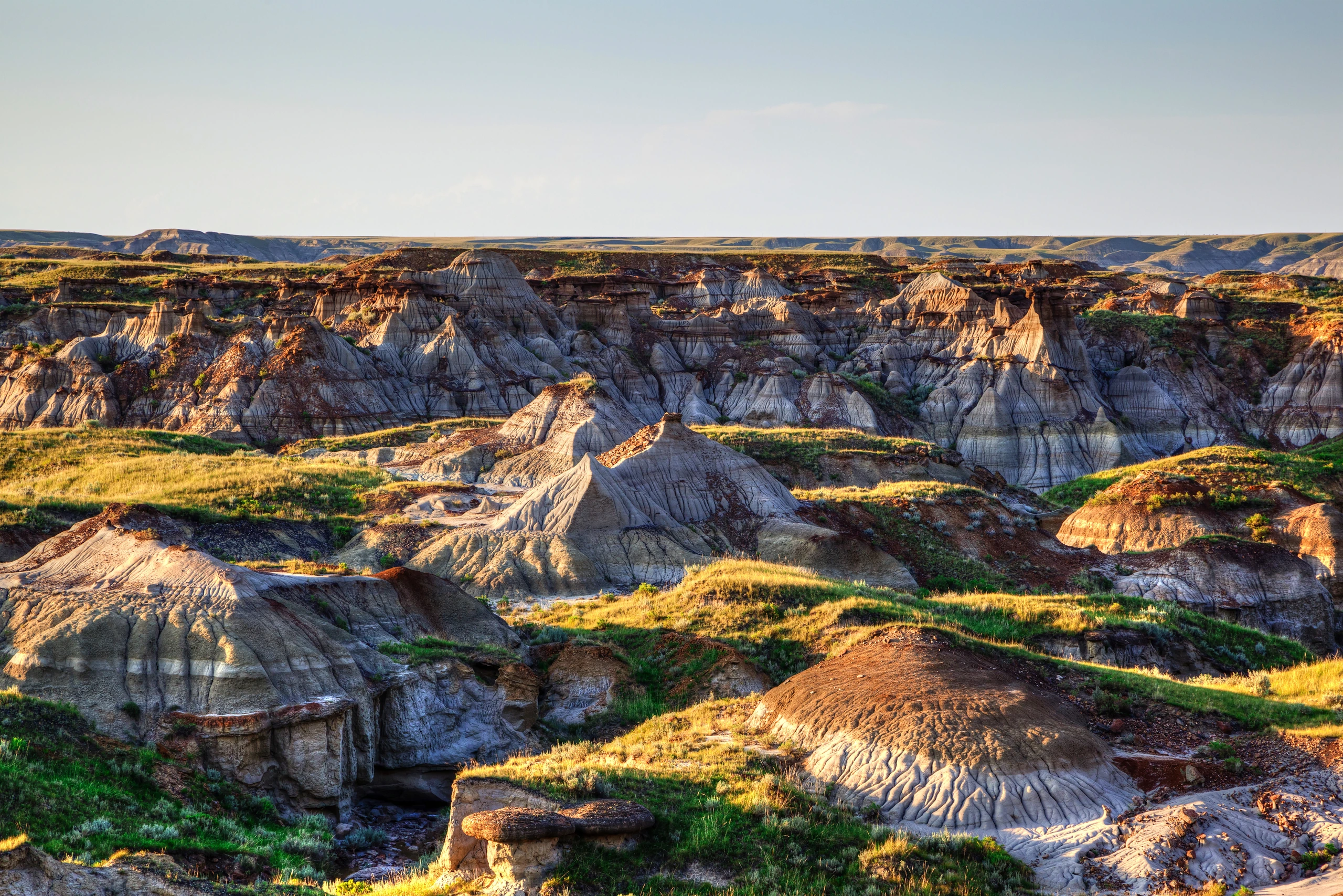 Badlands i Dinosaur Provincial Park, Alberta, Kanada