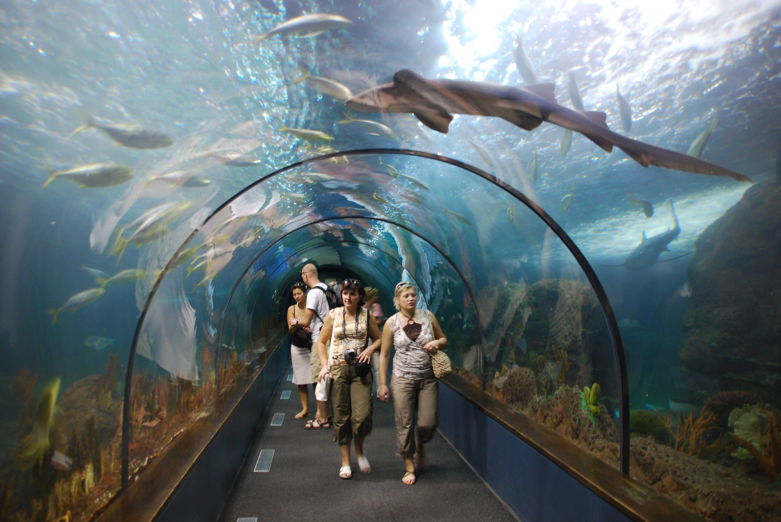 Haifischtunnel på Loro Parque, Kanarieöarna