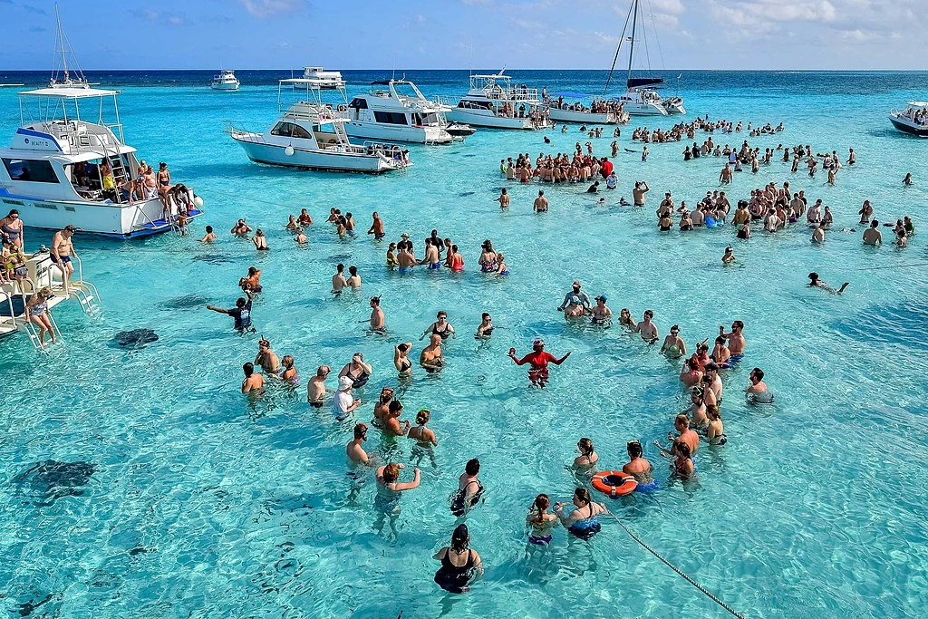 Stingray sandbar på Caymanöarna