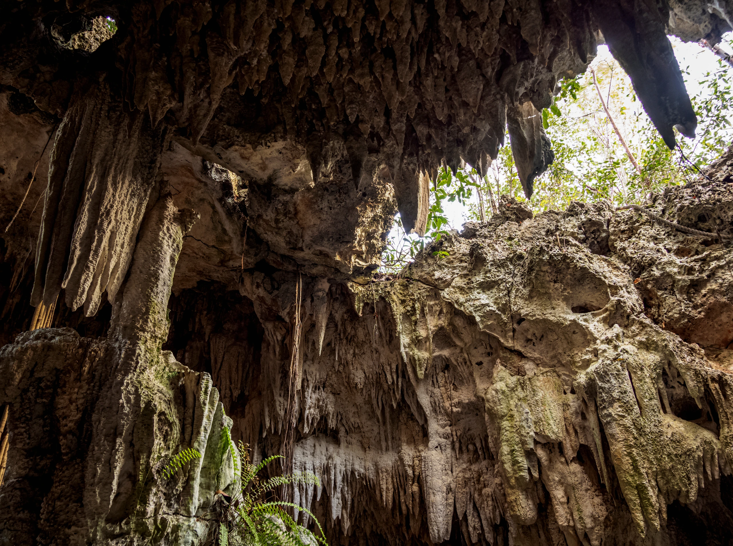 Crystal Caves på Grand Cayman, Caymanöarna