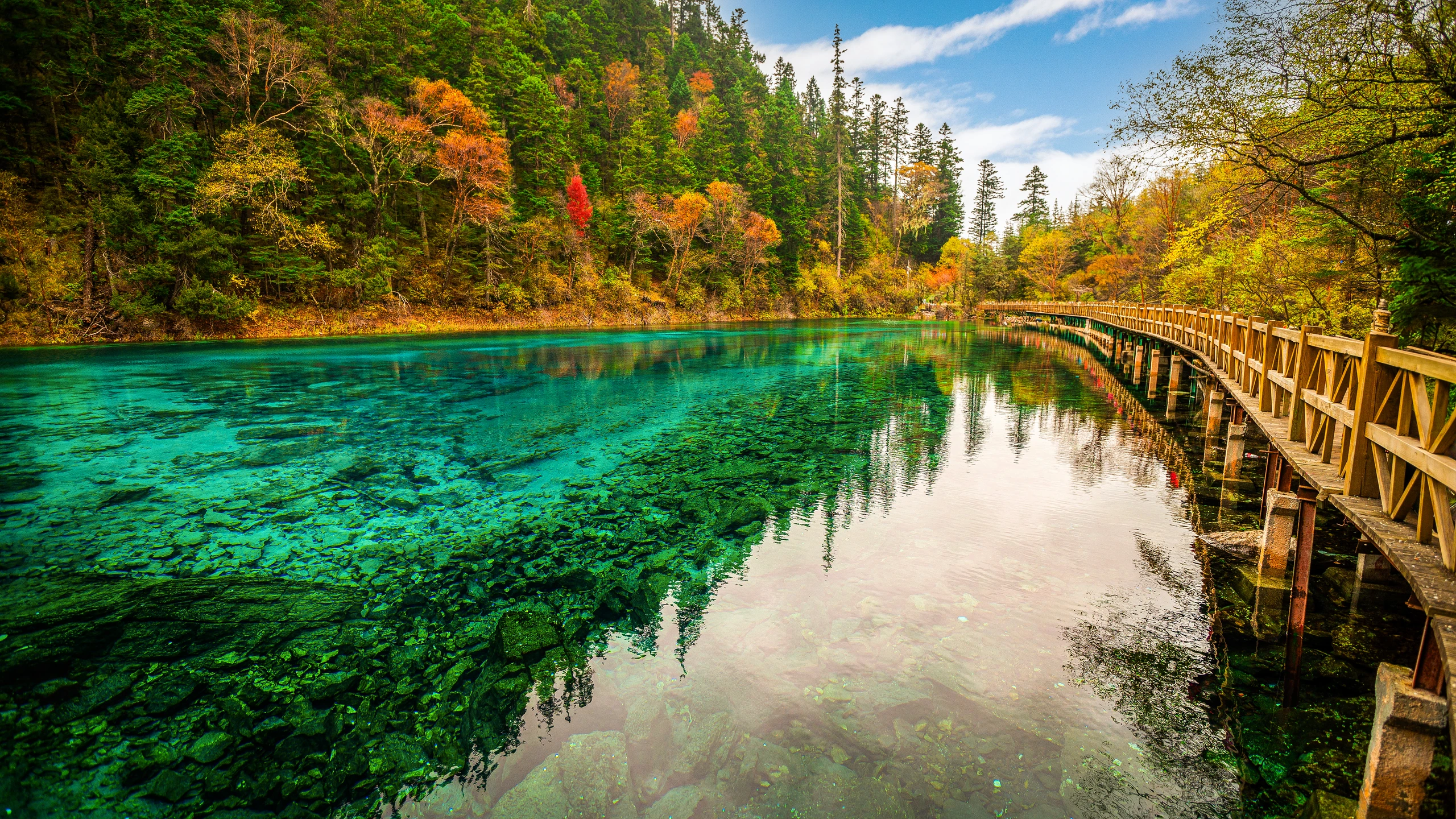 Five-Flower Lake i Jiuzhaigou, Sichuan, Kina