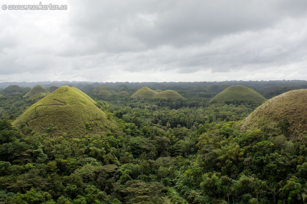 Filippinerna - Reseguide 10 Chocolate Hills Complex