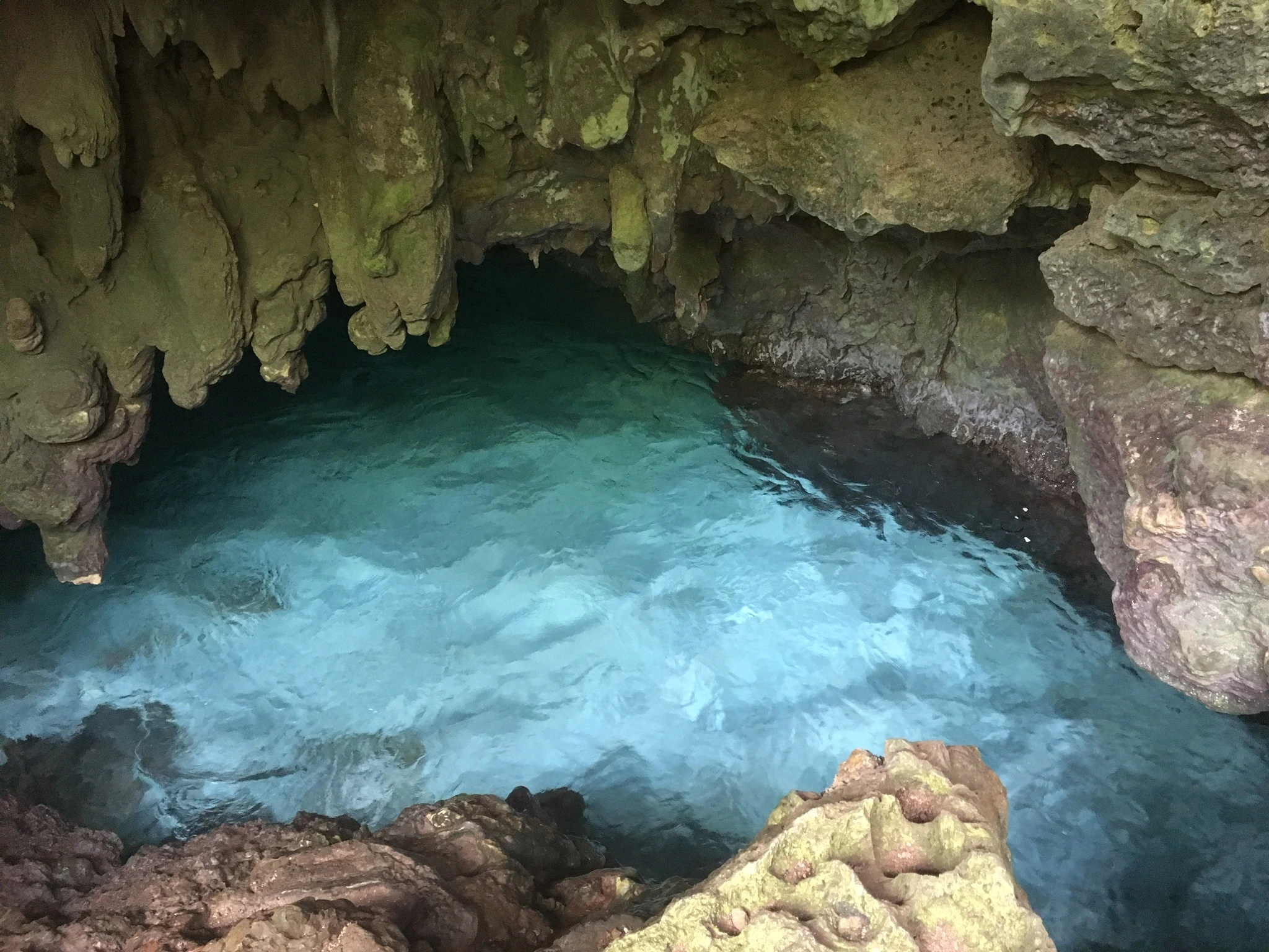 The Grotto, Julön
