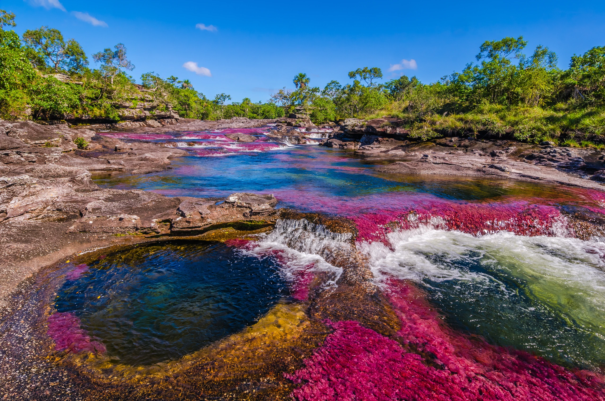 Cano Cristales, Nationalpark Serrania de la Macarena, Colombia
