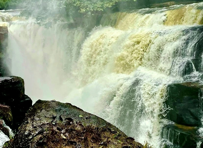 Chutes Lupata, Republiken Kongo