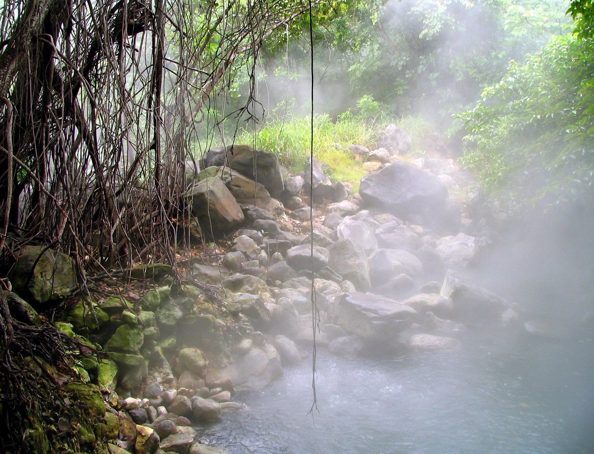 Natur och fauna i Costa Rica