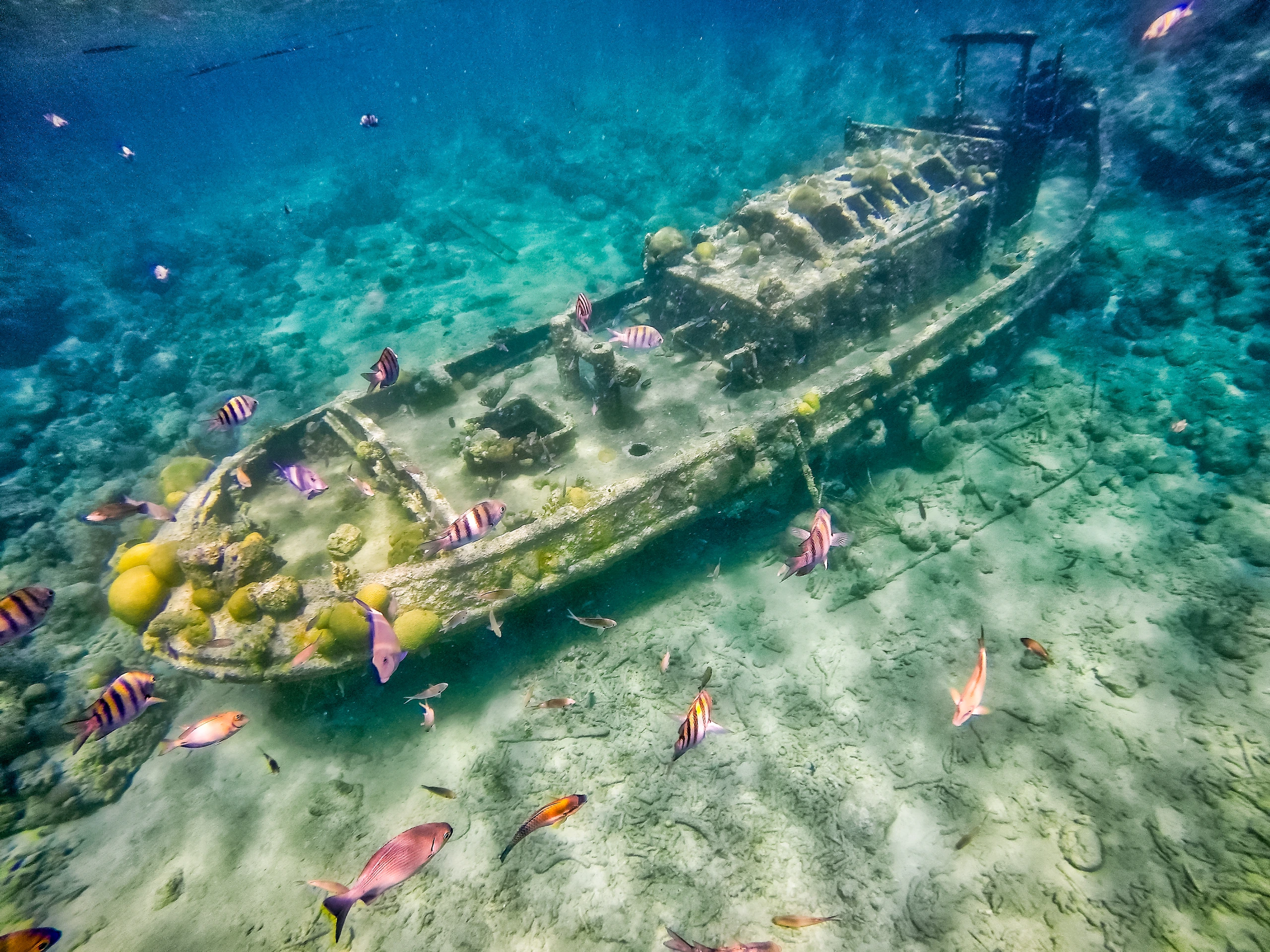 Tugboat beach på Curaçao