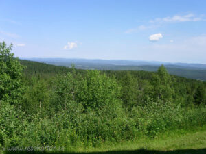 dag16 5
