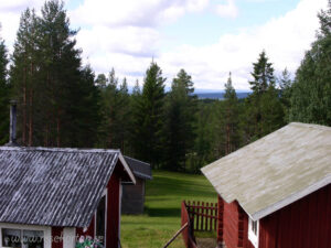 dag19 4