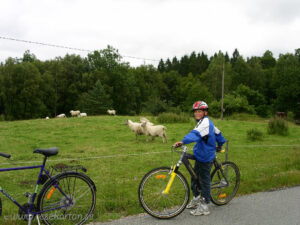 dag4 10