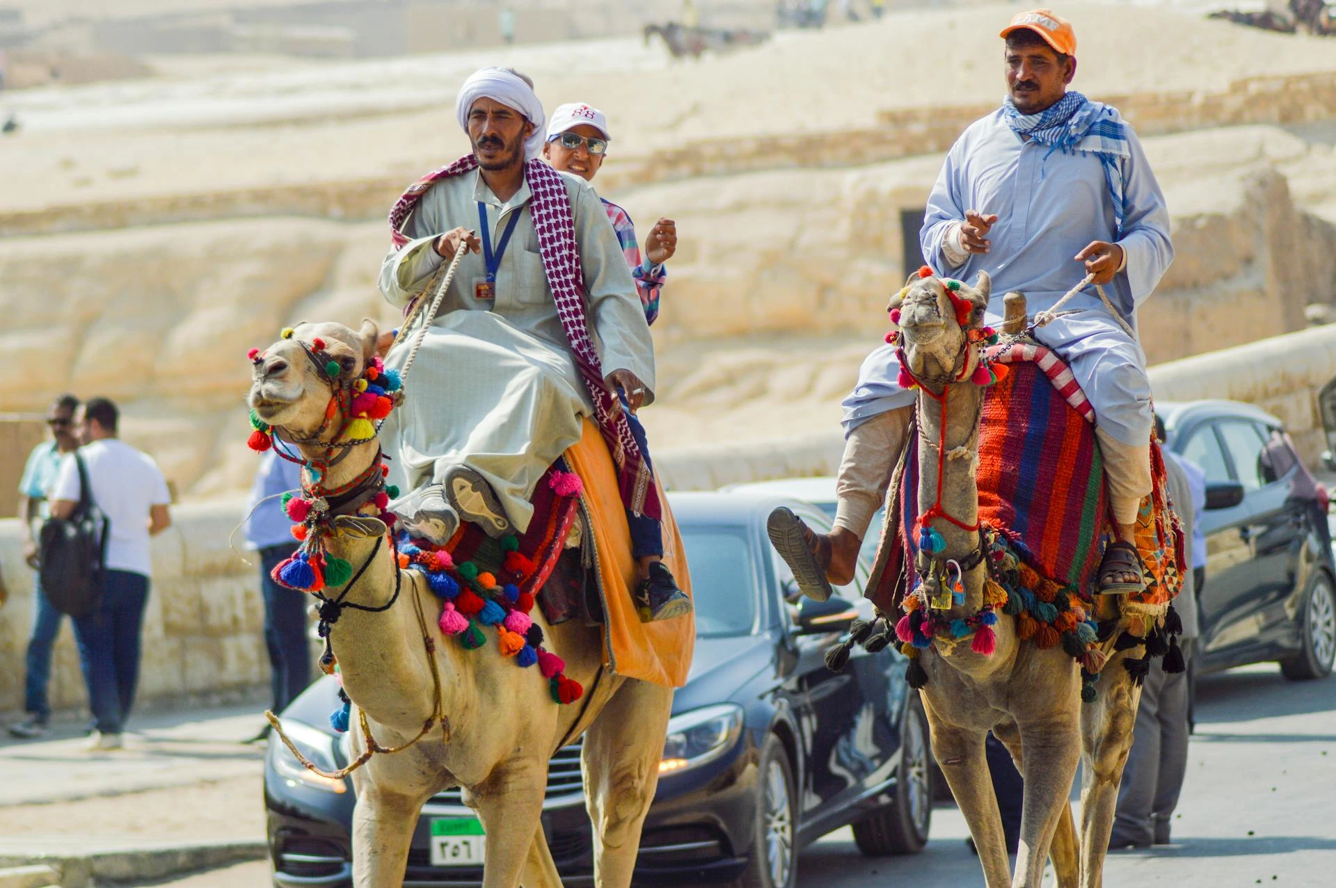 Kamelryttare vid pyramiderna i Giza, Egypten