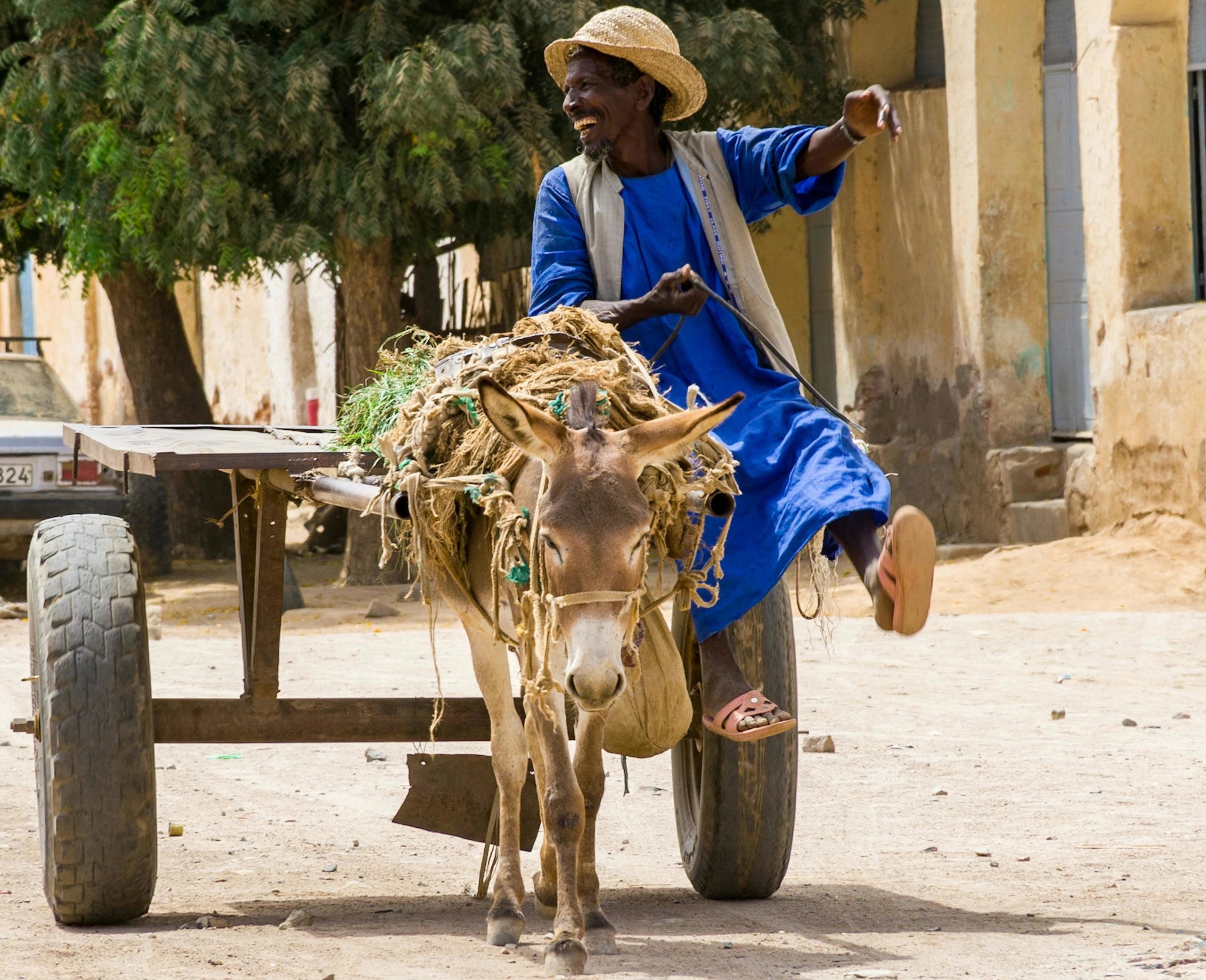 Gammal man på vagn dragen av mula i Eritrea