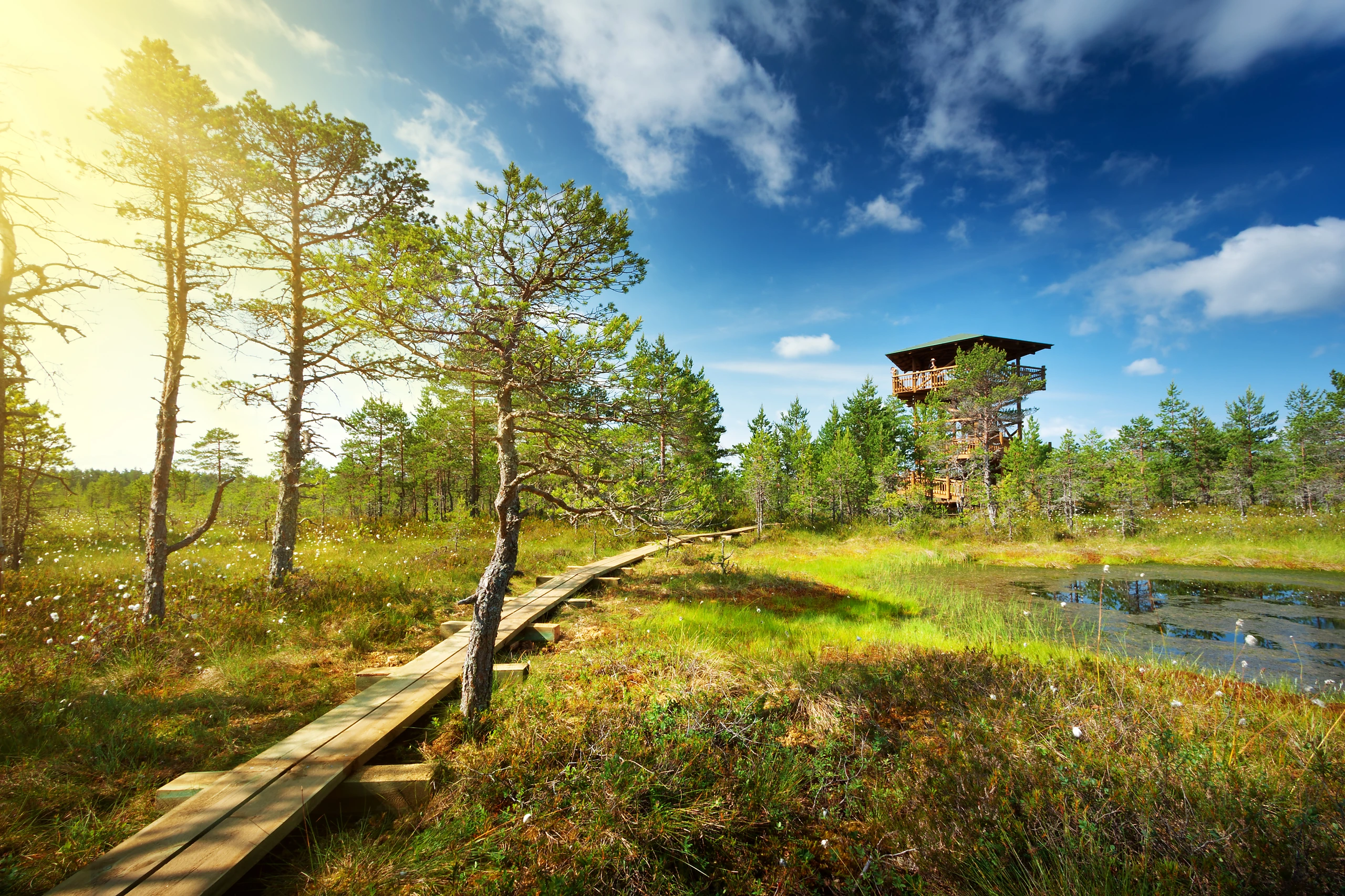 Viru myrar i Lahemaa nationalpark, Estland