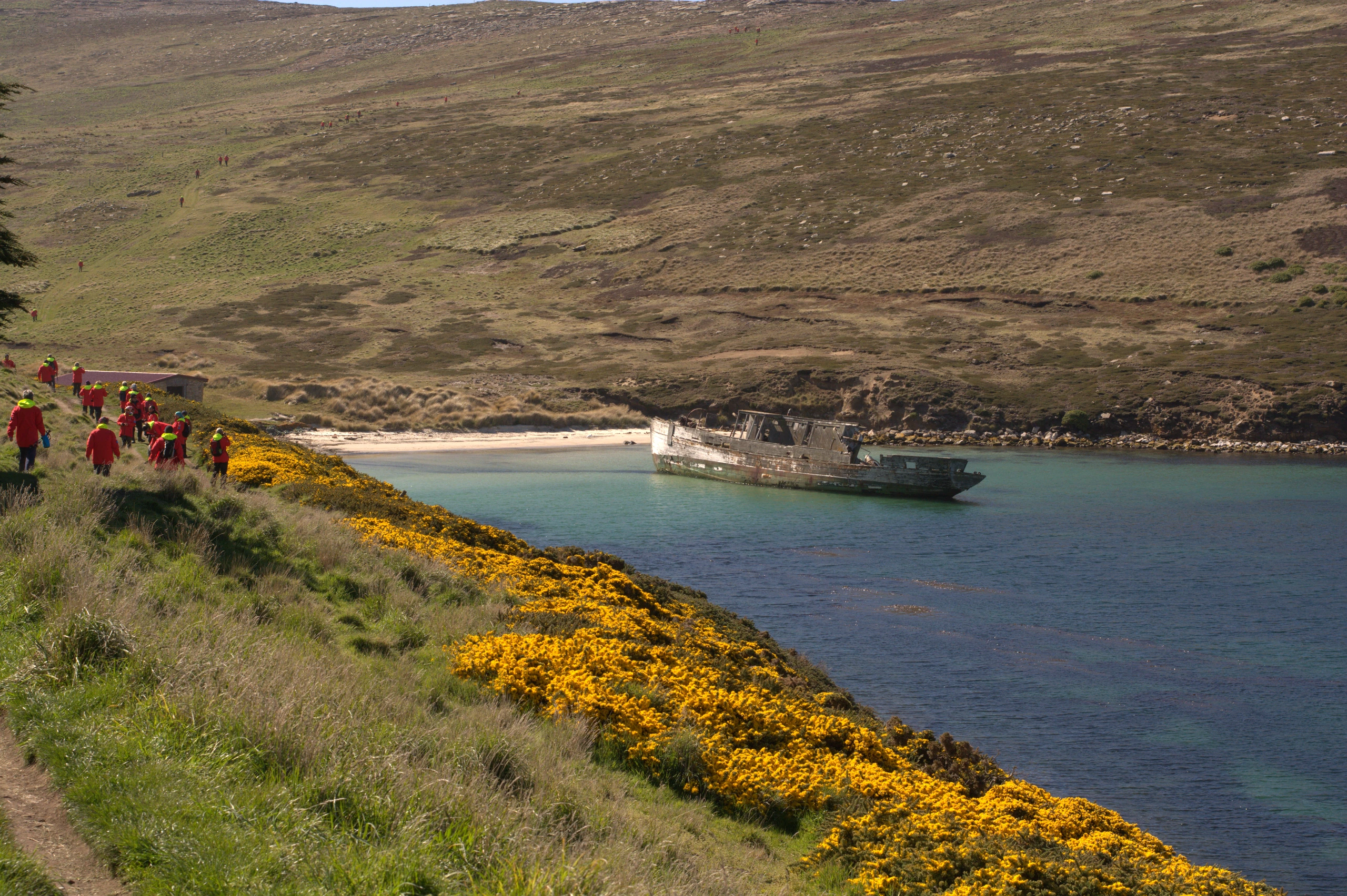 Skeppsvrak vid New Island, Falklandsöarna