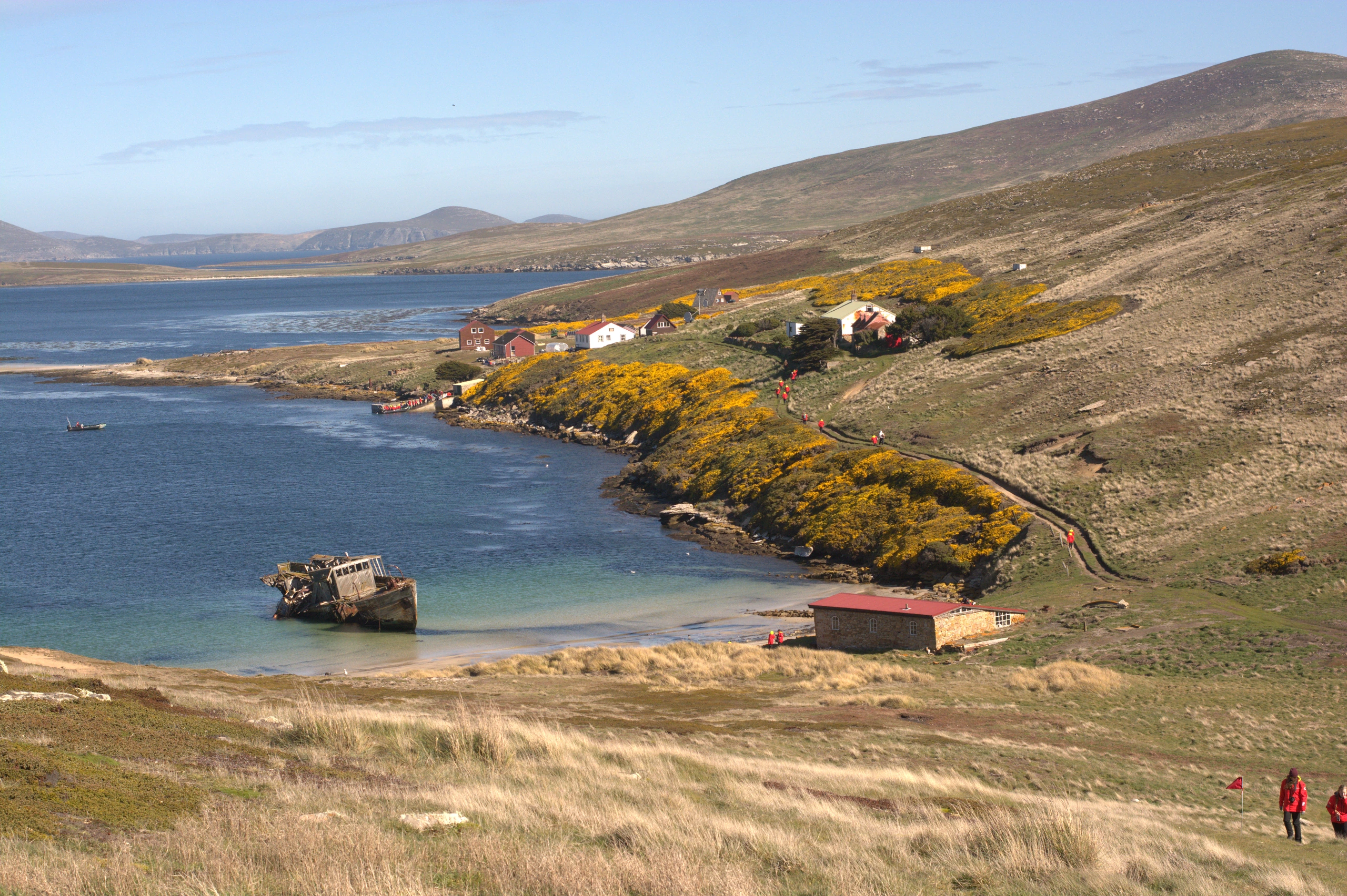New Island, Falklandsöarna