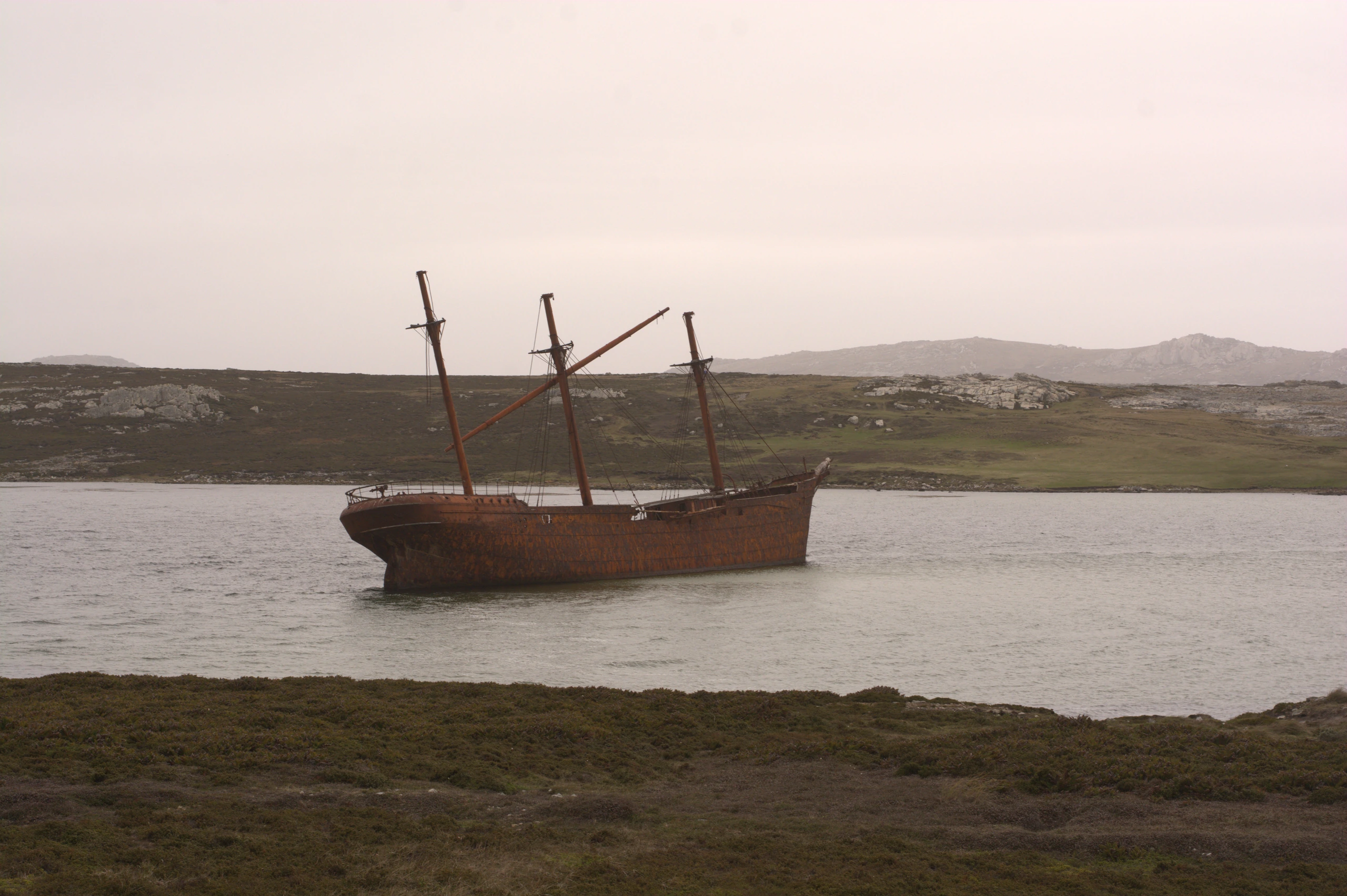 Lady Elizabeth Shipwreck, Falklandsöarna