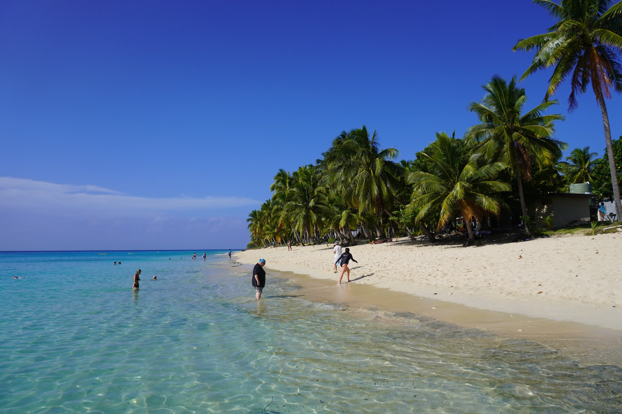 Dravuni Islands palmfransade strand, Fiji