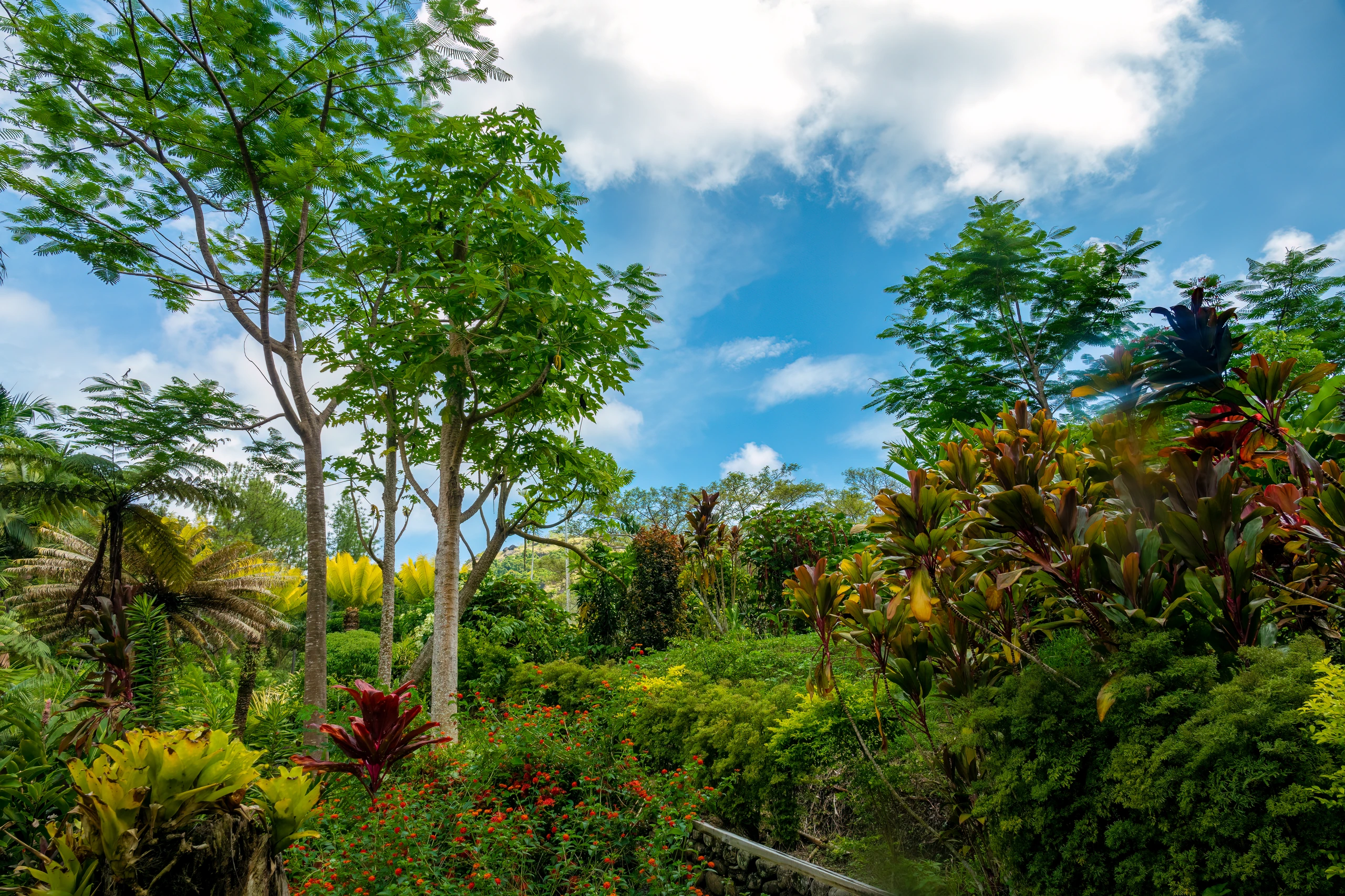 Garden of the Sleeping Giant, Fiji
