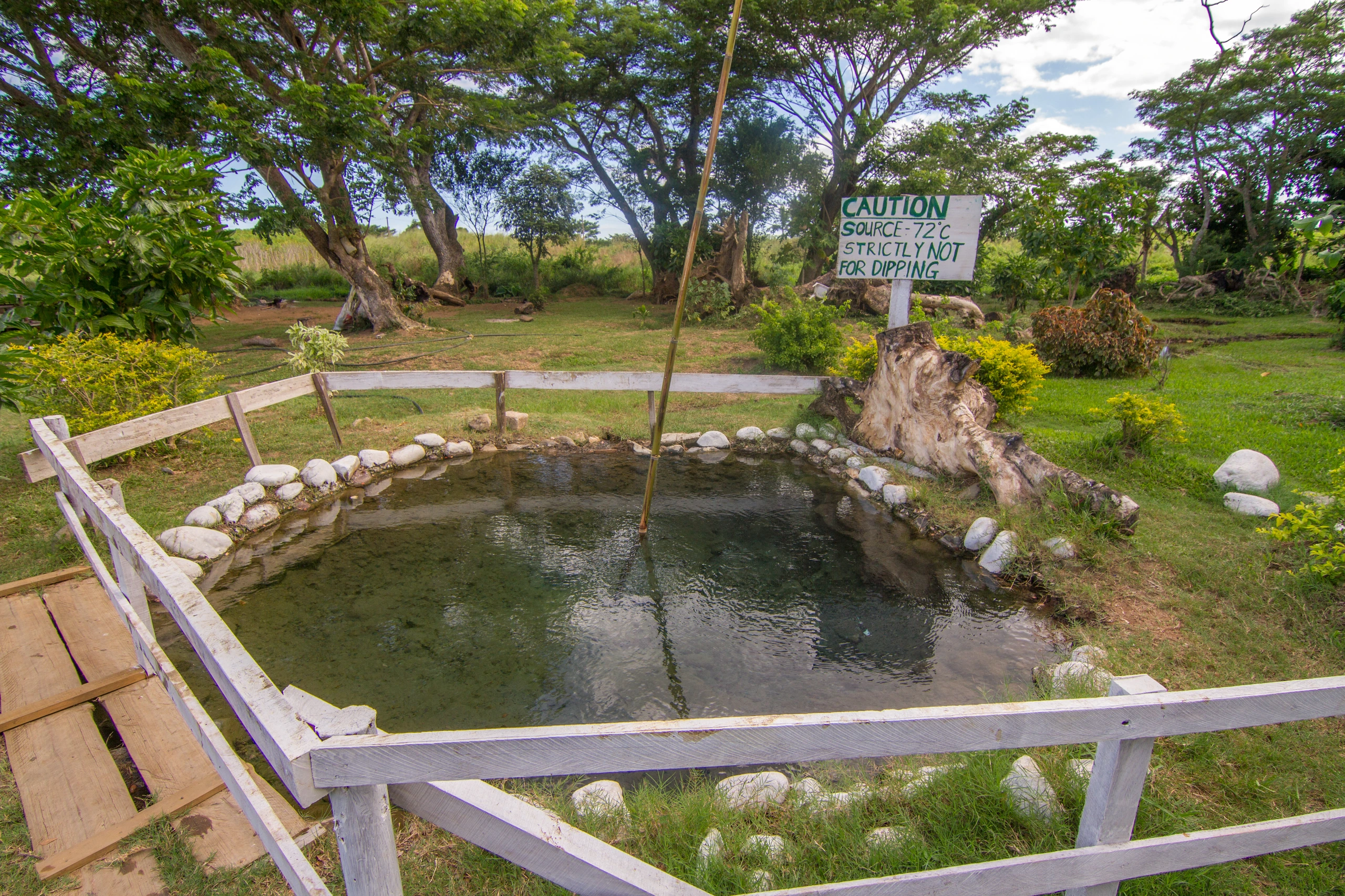 Sabeto Hot Springs och lerbad, Fiji