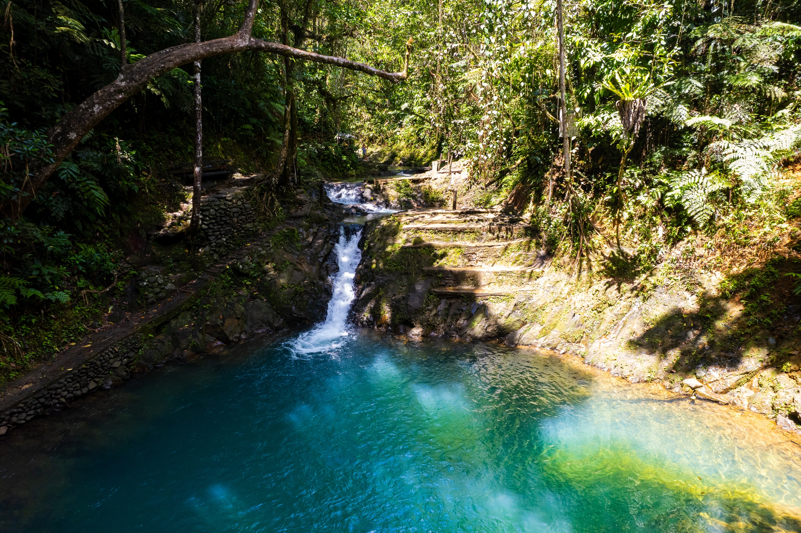 Colo-I-Suva Forest Park, Fiji