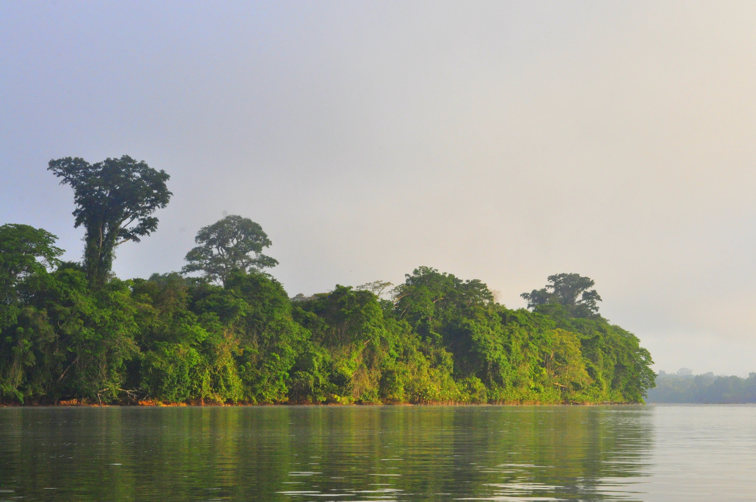 Fleuve Maroni i Parc Amazonien de la Guyane, Franska Guyana