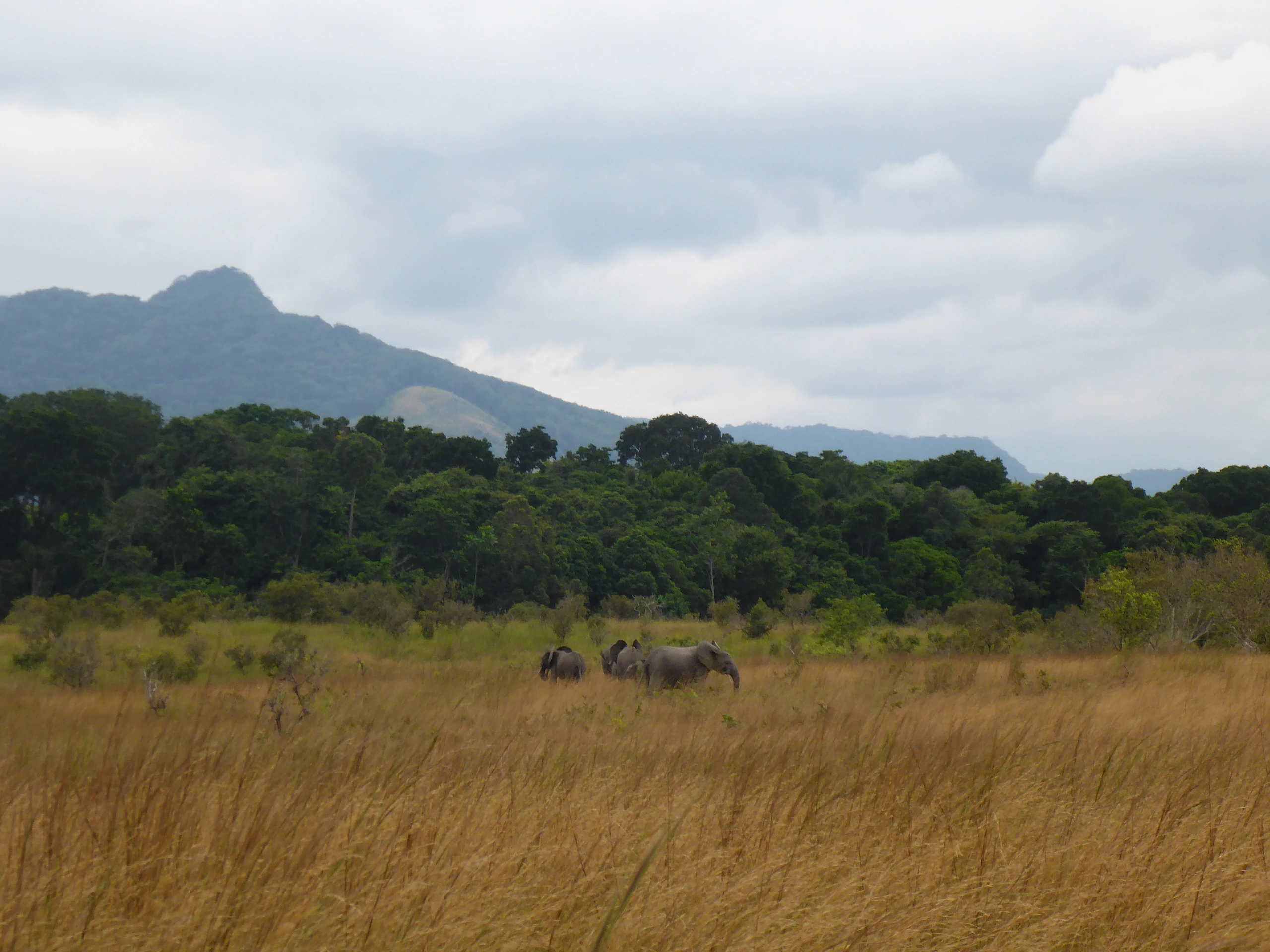Lope National Park, Gabon