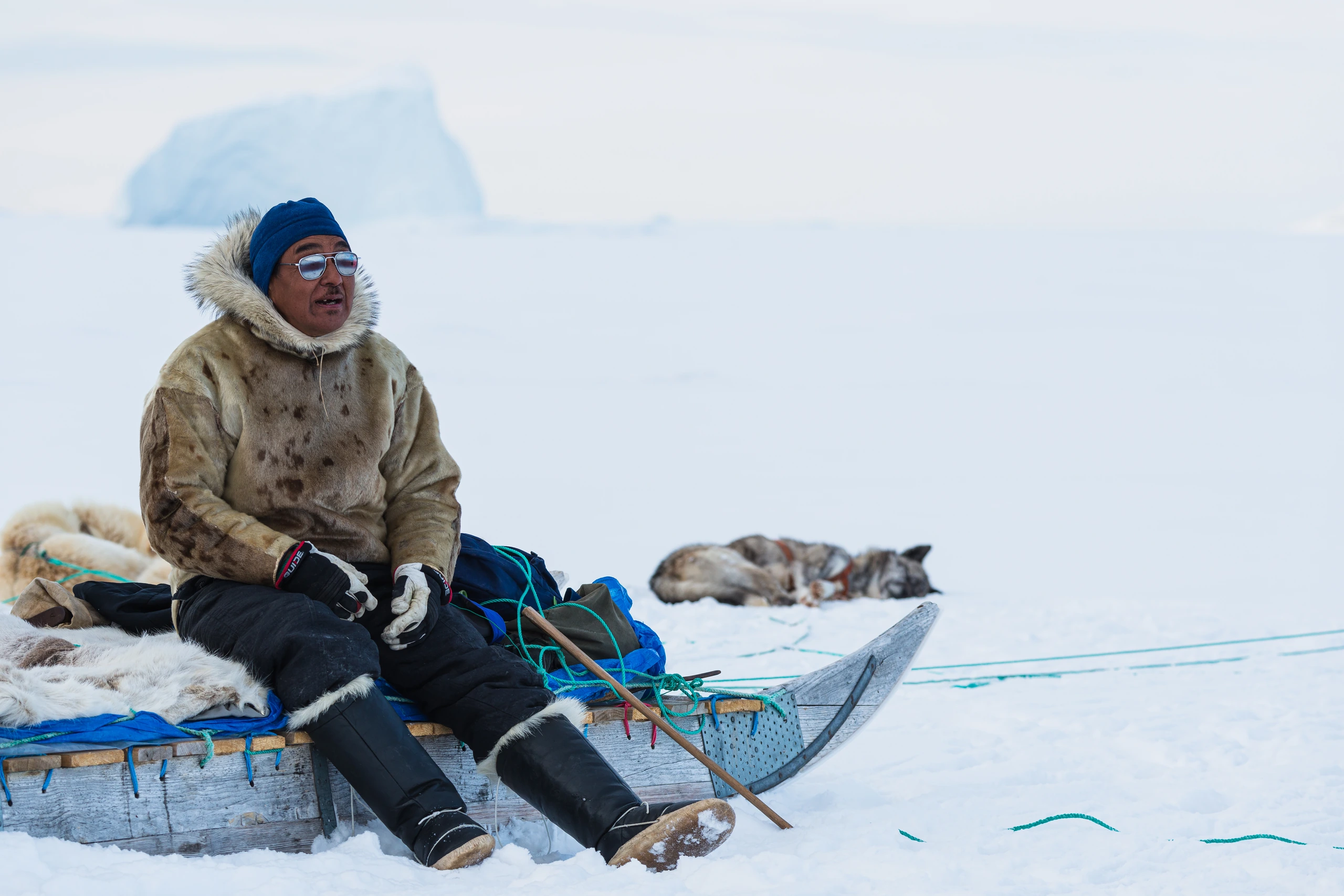 Inuitman på släde i Arktis, Grönland