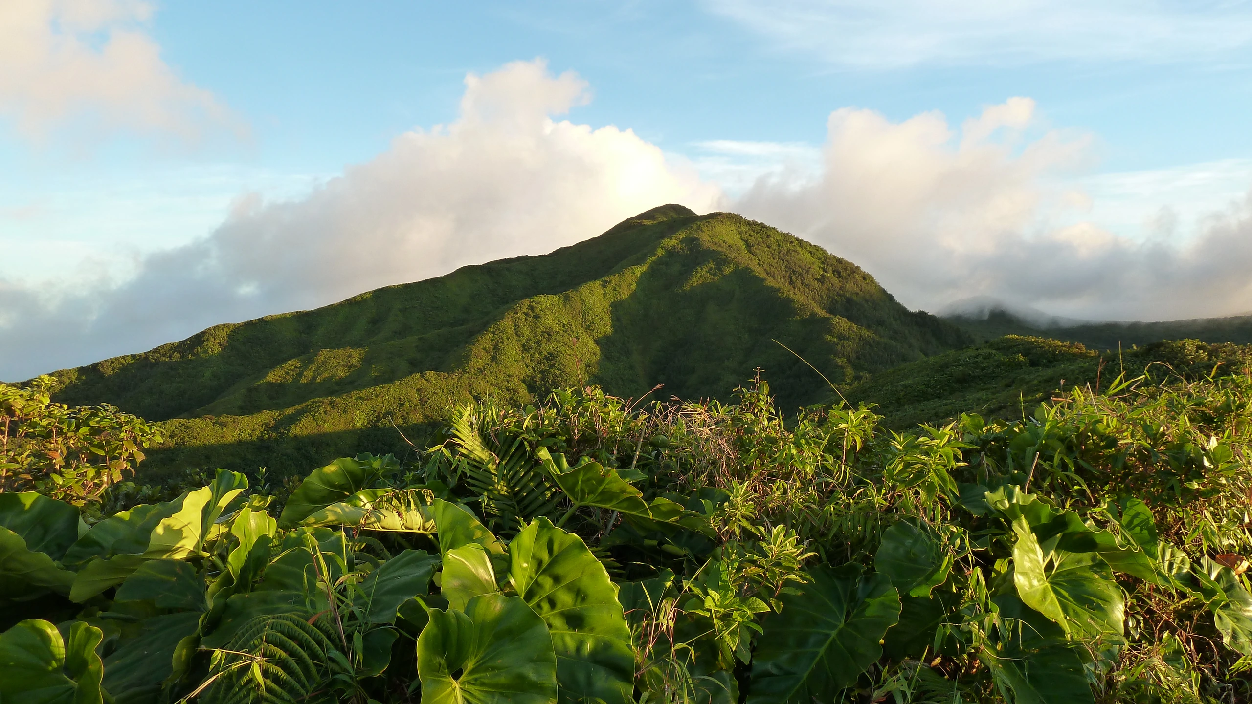 Parc National de Guadeloupe