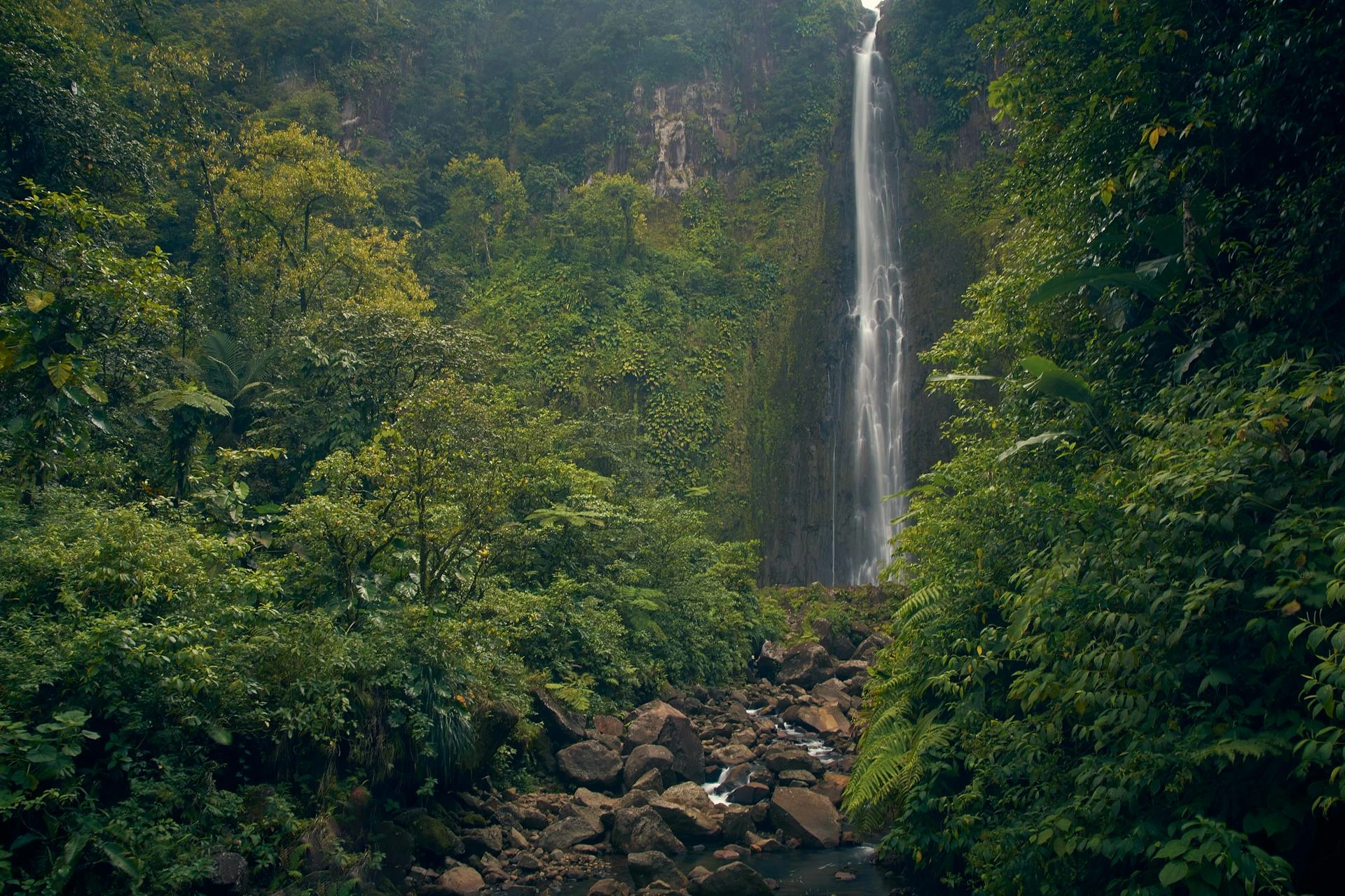 Utsikt över vattenfall i Guadeloupe
