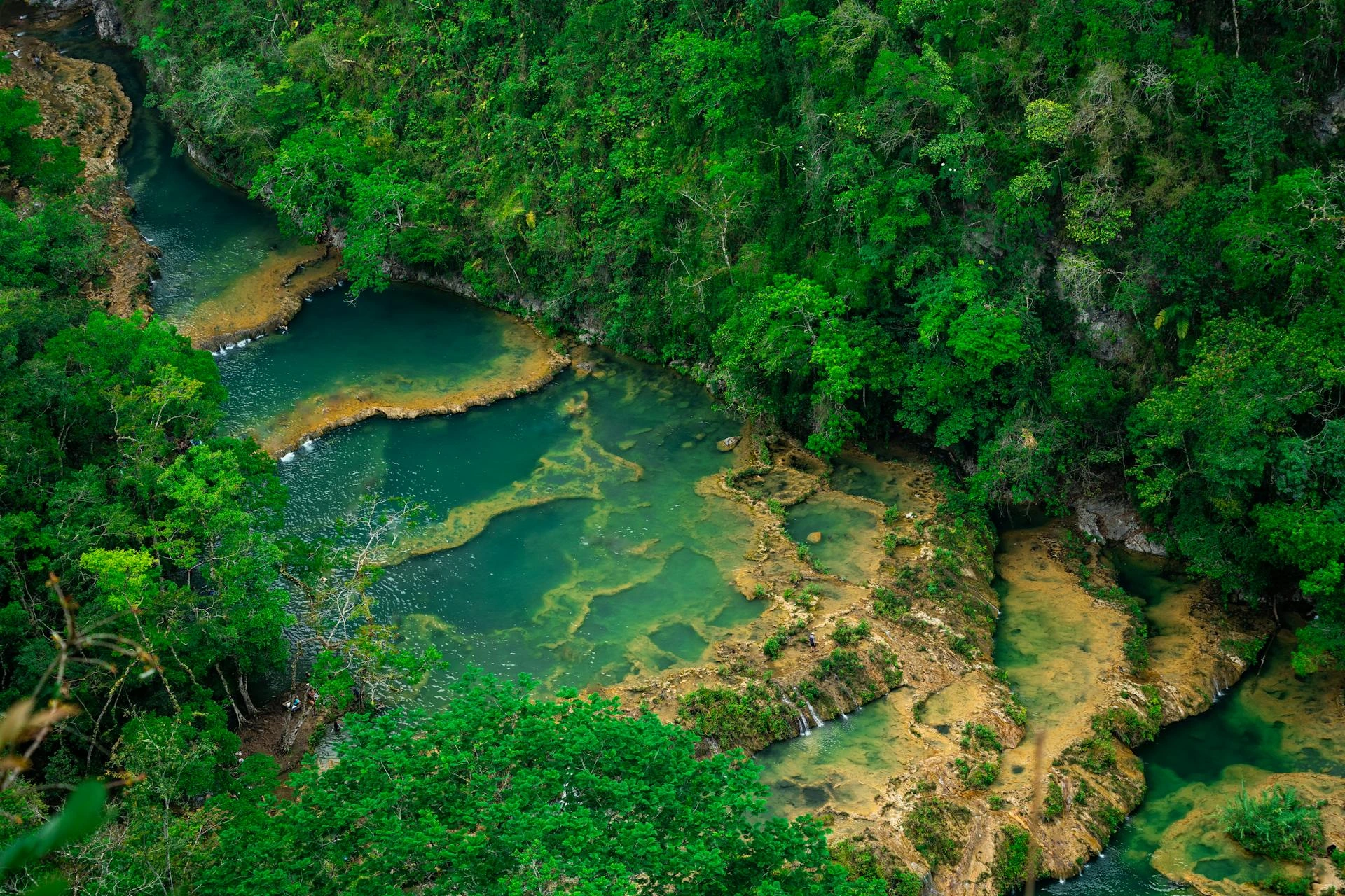 Bäck i tropisk skog i Guatemala