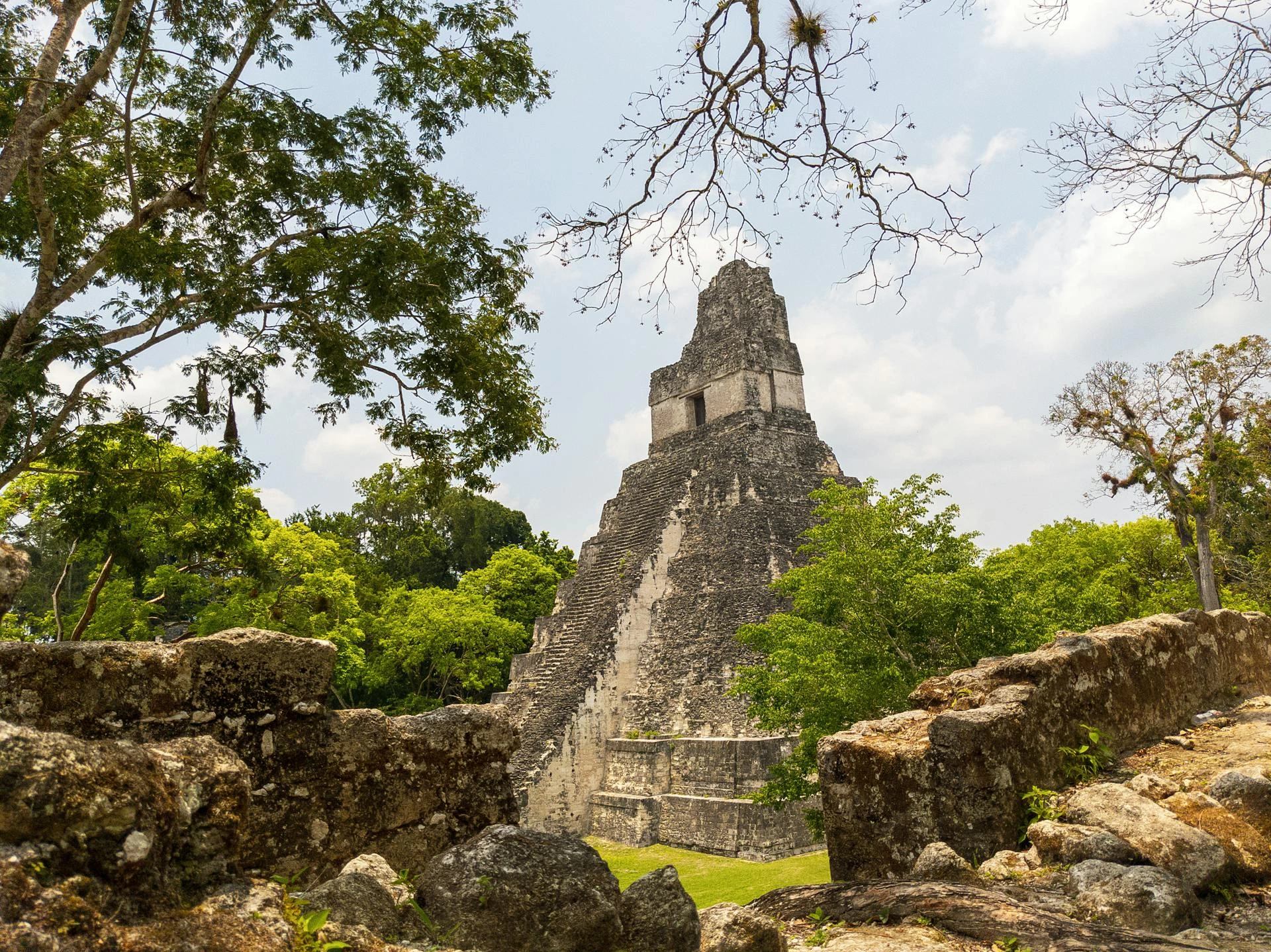 Den stora jaguaren i Tikal, Guatemala