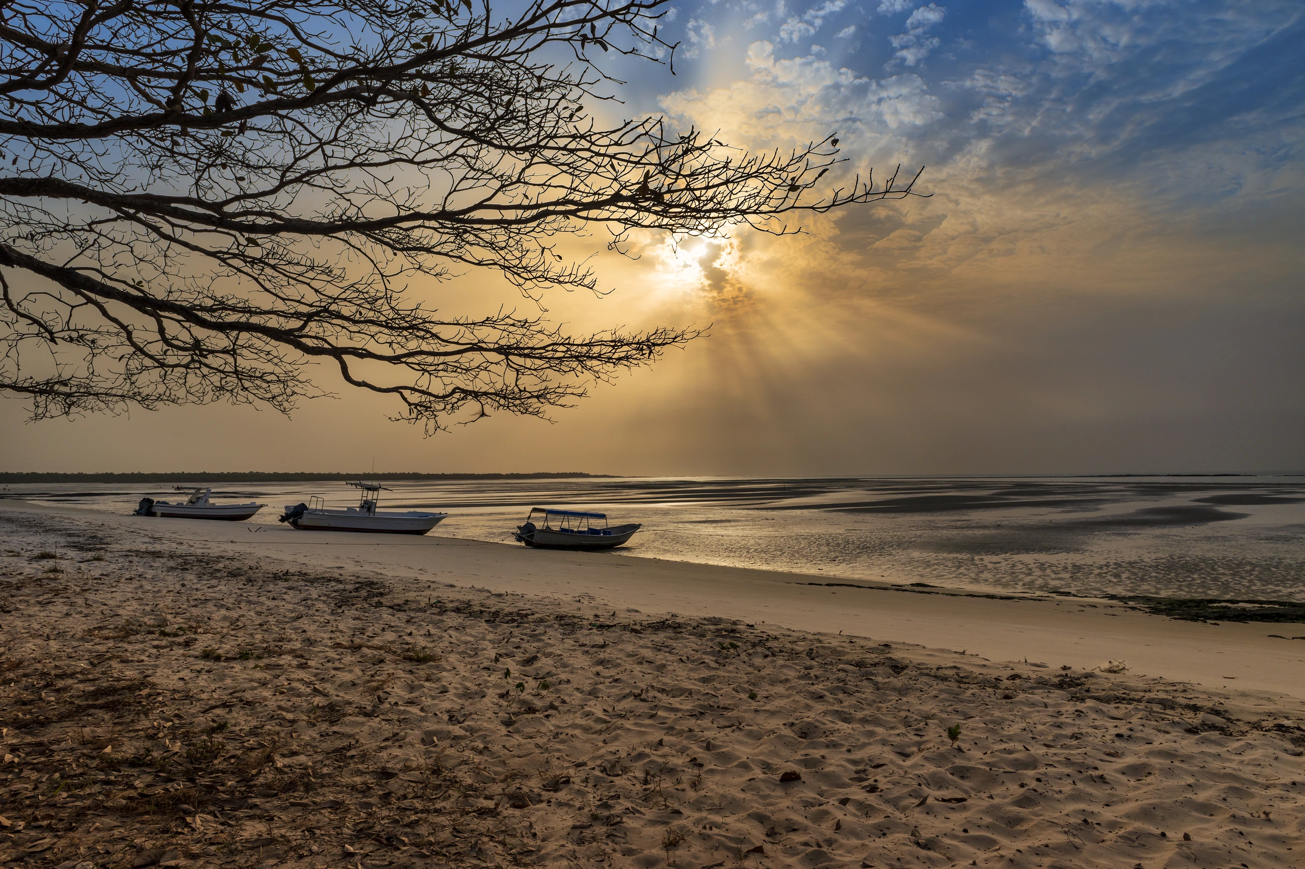 Öde strand på Orango, Guinea-Bissau