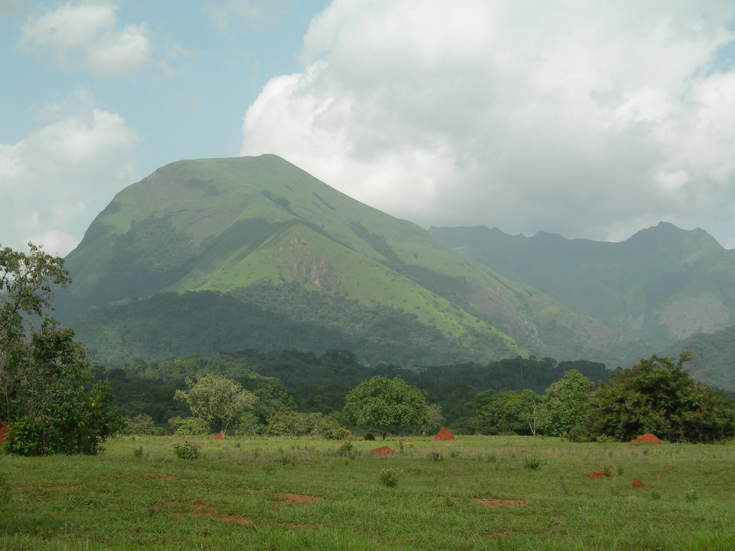 Mount Nimba, naturreservat i Guinea