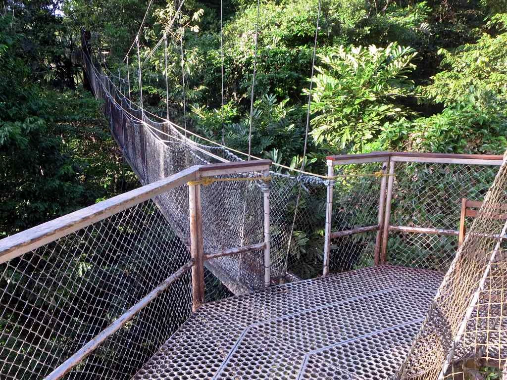 Iwokrama Canopy Walkway, Guyana