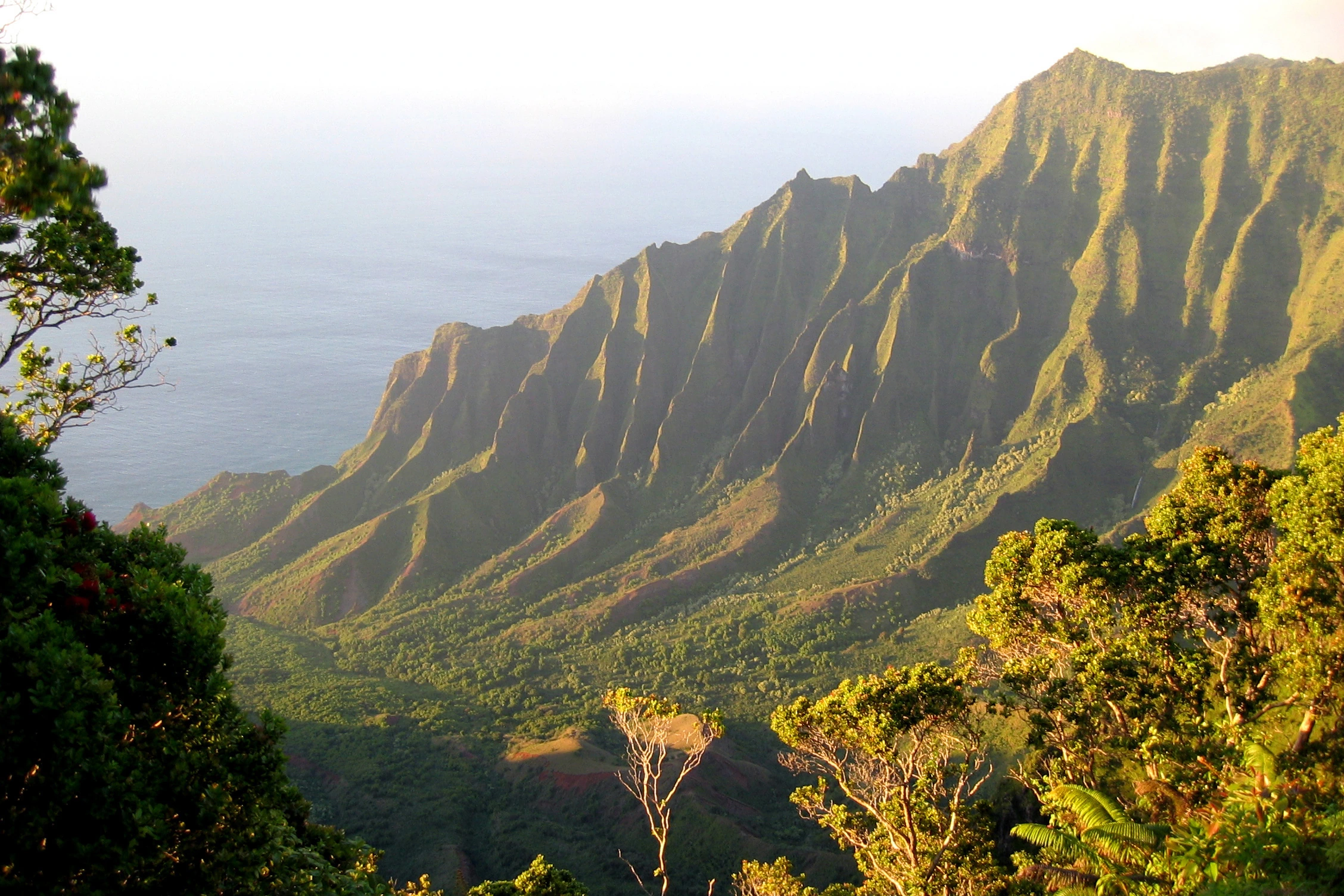 Na Pali overlook, Kalalau Valley, Hawaii